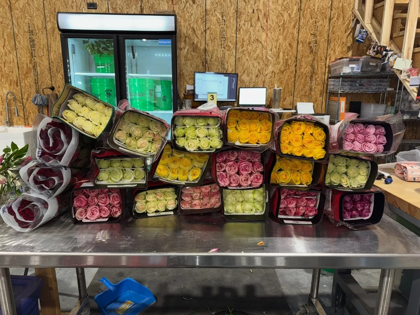 Let&rsquo;s circle back to Valentine&rsquo;s Day 2025 🔄
 
3 words. Colorful, fun, &amp; ROSES lots of roses!

A quick shop pic or just 1 of 4 shipments of roses last year! Can&rsquo;t wait to share this year&rsquo;s shipment! 

Don&rsquo;t forget! I