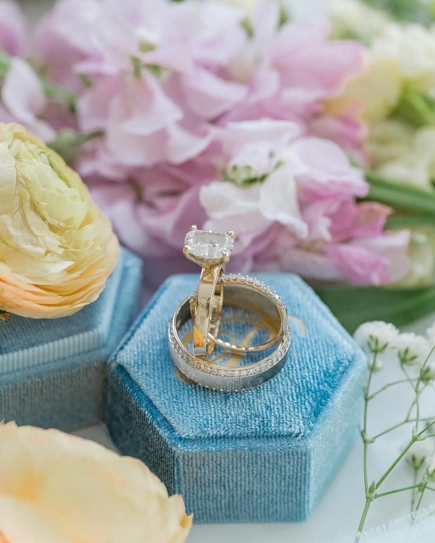 The magic of spring🌸✨🪿

Photography: @shellyruthphotography 
Videography: @durhamvisuals 
Venue: @laurelhallindy 
Dress: @mariegabrielcouturebridal 
Cake: @mollyssociablesweets
