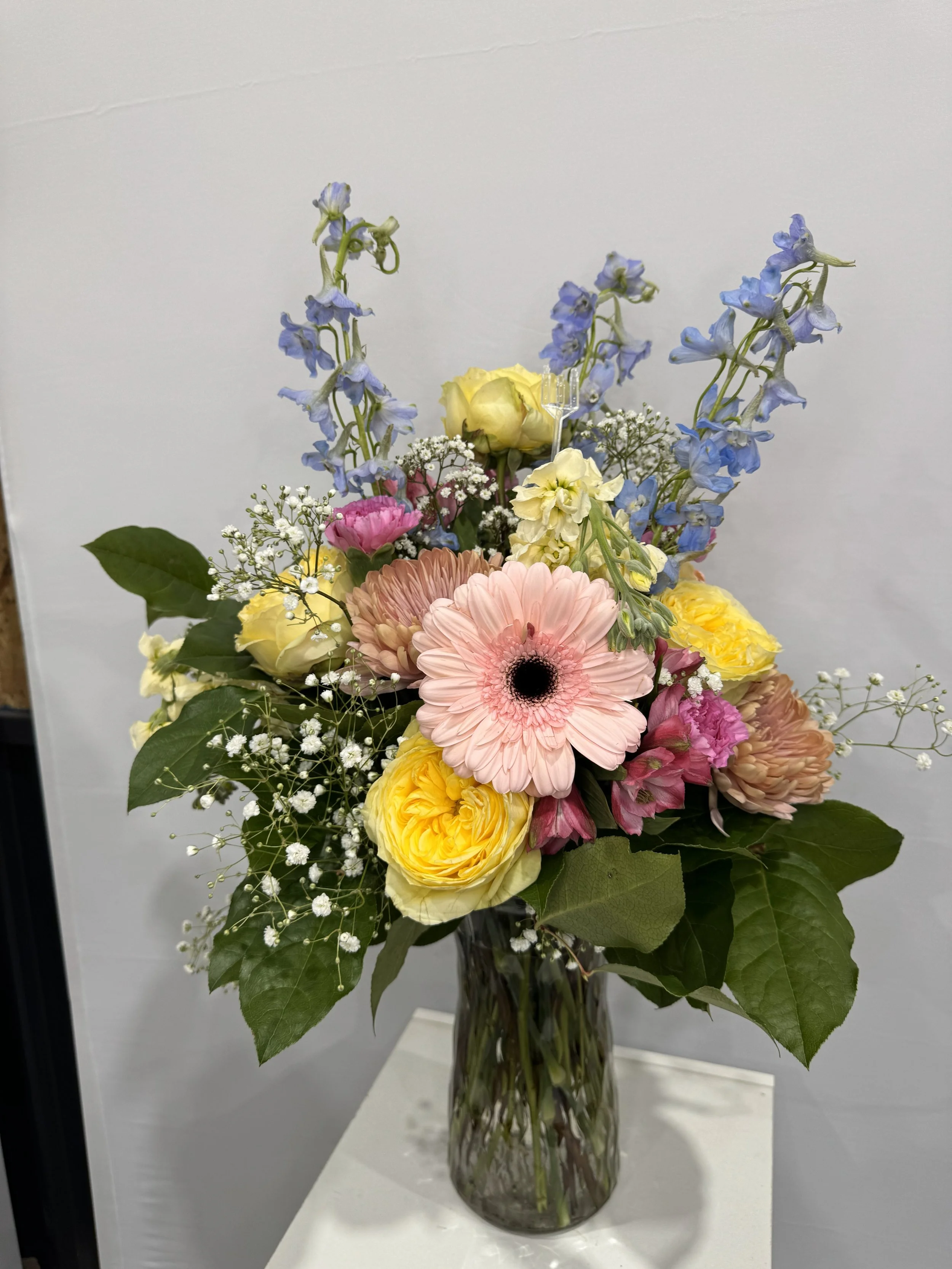 Premium Designer's Choice