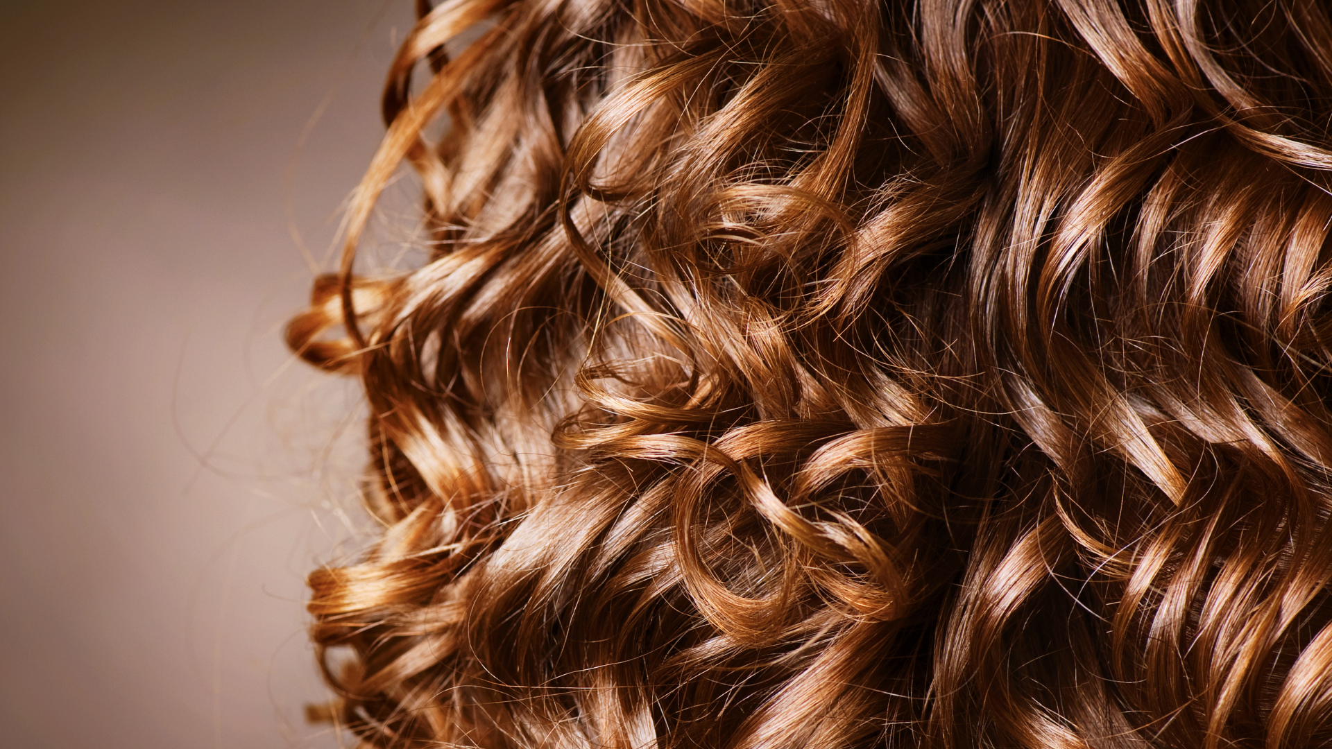 Close-up image of curly, reddish-brown hair.