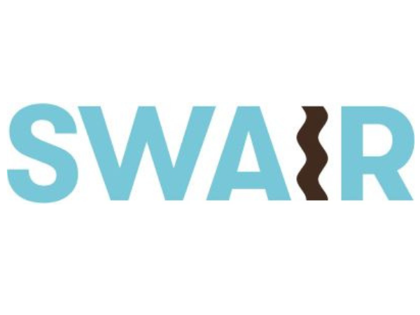 A logo with the word "SWAP" in light blue letters, with the letter "A" replaced by a brown, wavy, DNA-like double helix symbol.