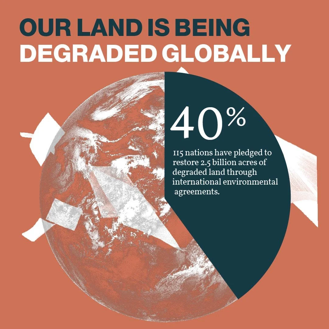 Social media carosuel-03.jpg