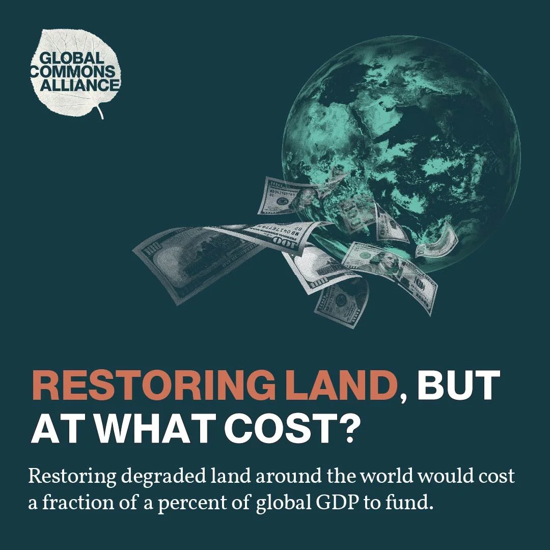 Social media carosuel-01.jpg