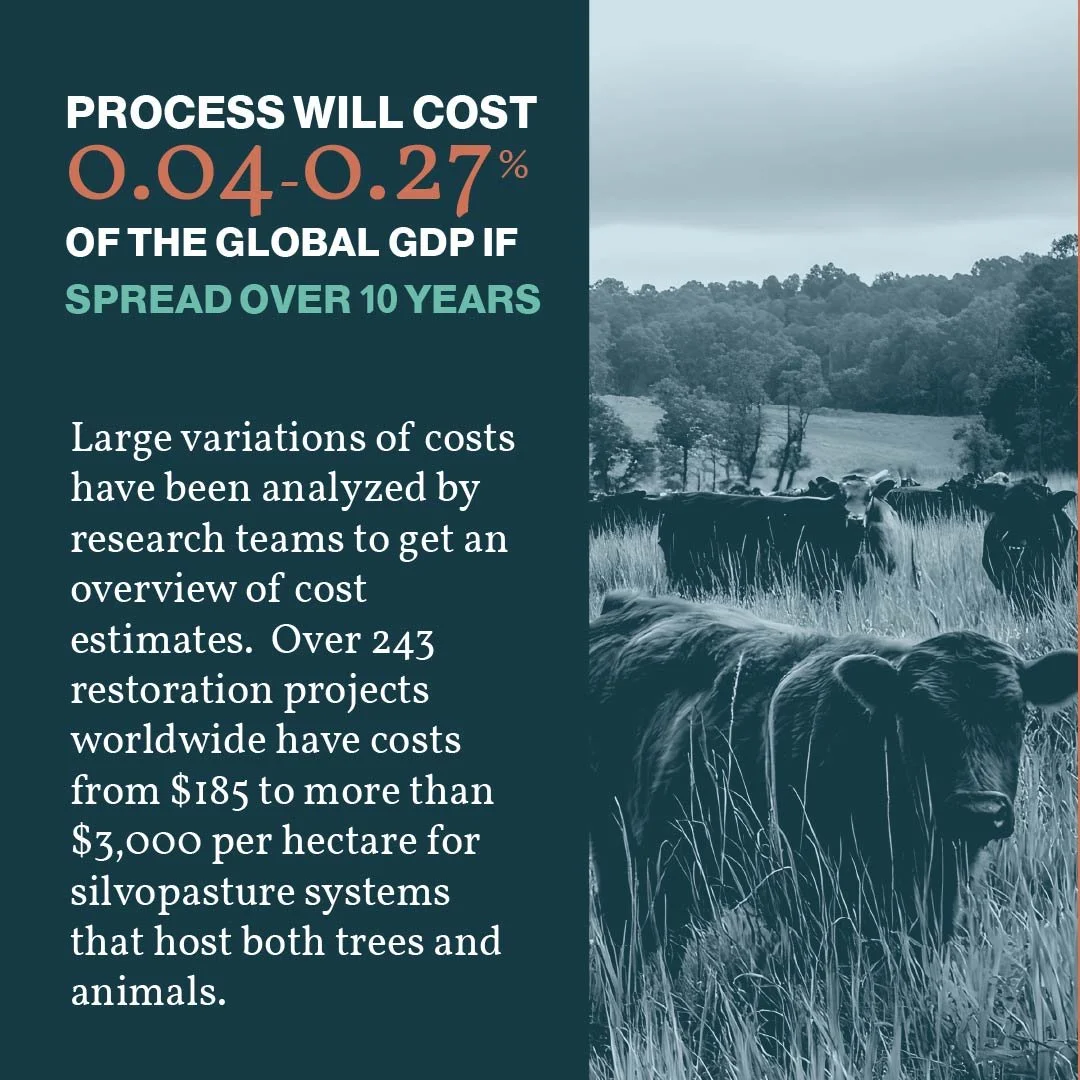 Social media carosuel-02.jpg