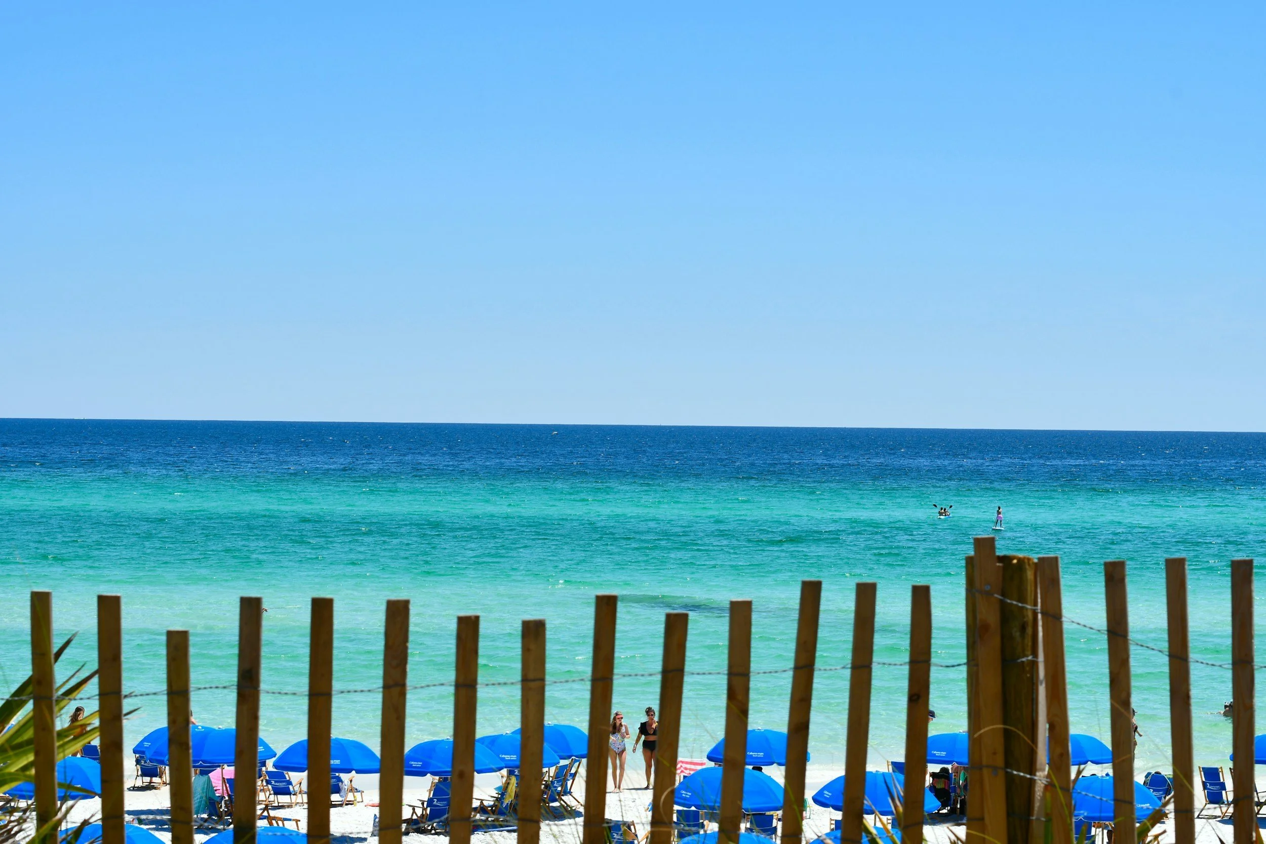 View of a beach through wooden fence slats, with blue umbrellas, people walking and swimming in the ocean, and a clear sky.