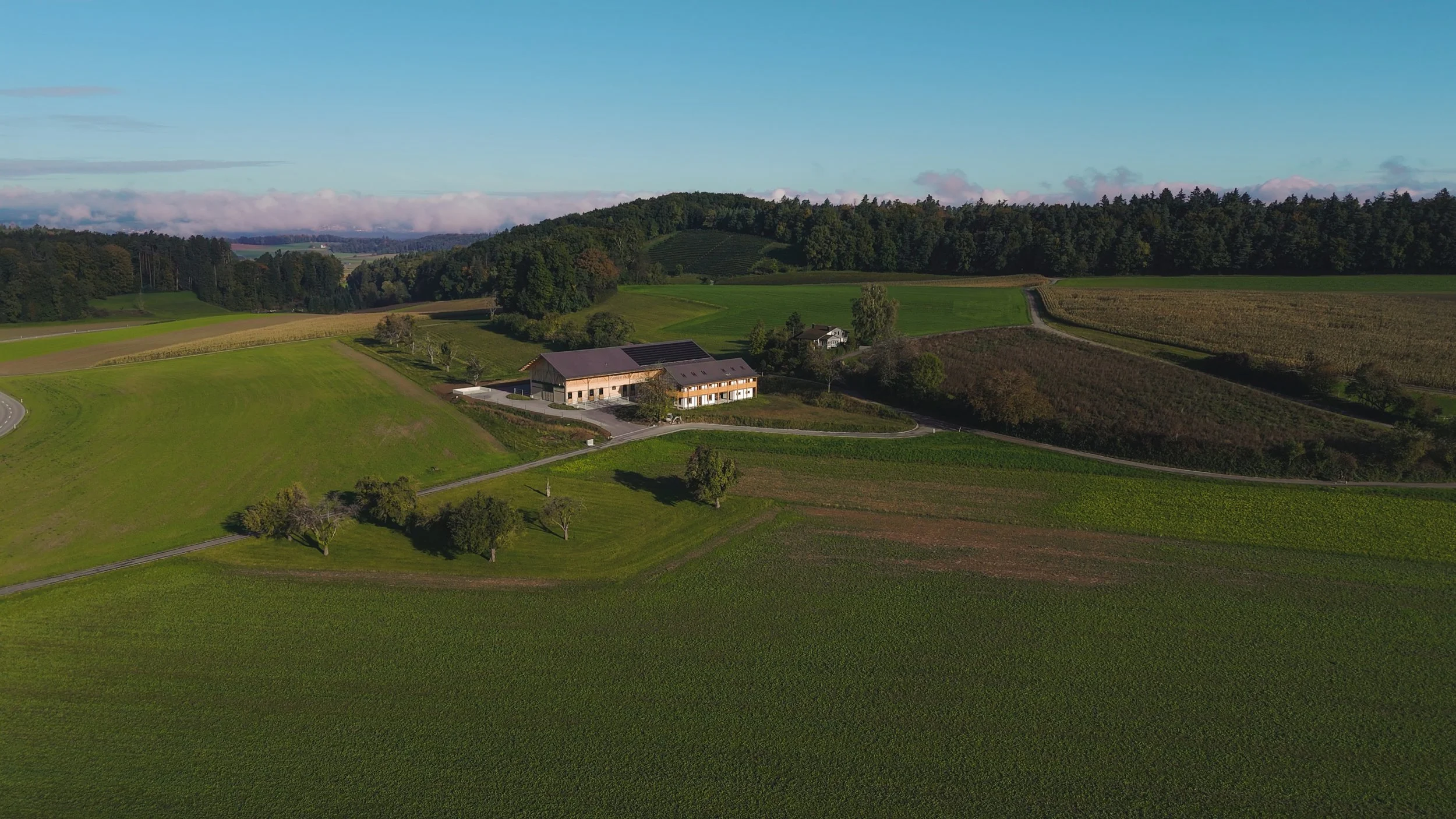 Landschaft mit grünen Feldern, einem Bauernhof, umgeben von Bäumen und Hügeln, bei sonnigem Himmel.