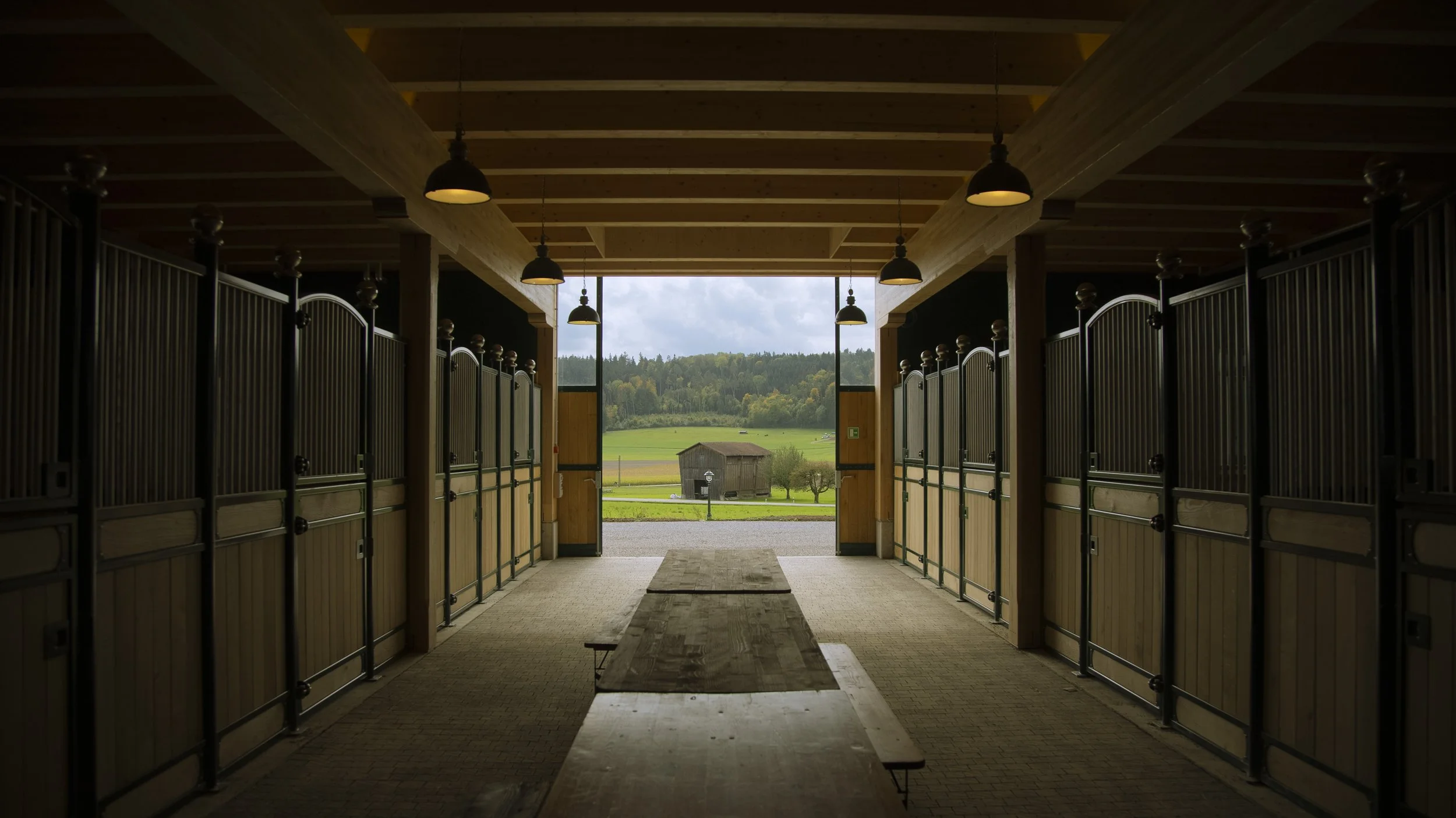 Innenansicht einer Pferdestallung mit einem offenen Ausgang, Blick ins grüne, ländliche Tal mit Wald im Hintergrund.