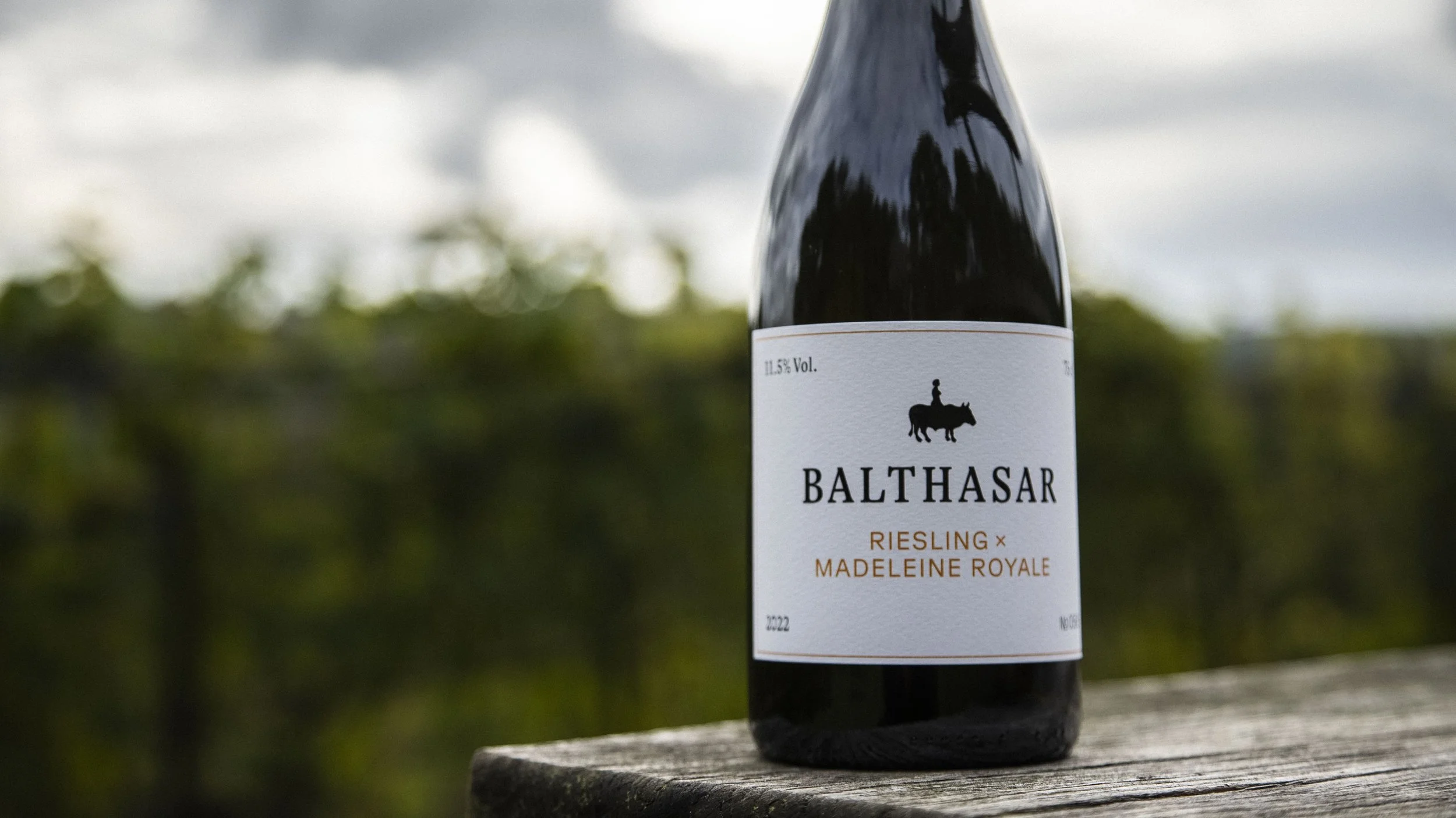 Eine Flasche Wein auf einer Holzplatte, im Hintergrund eine Weinbergs-Landschaft und ein bewölkter Himmel.