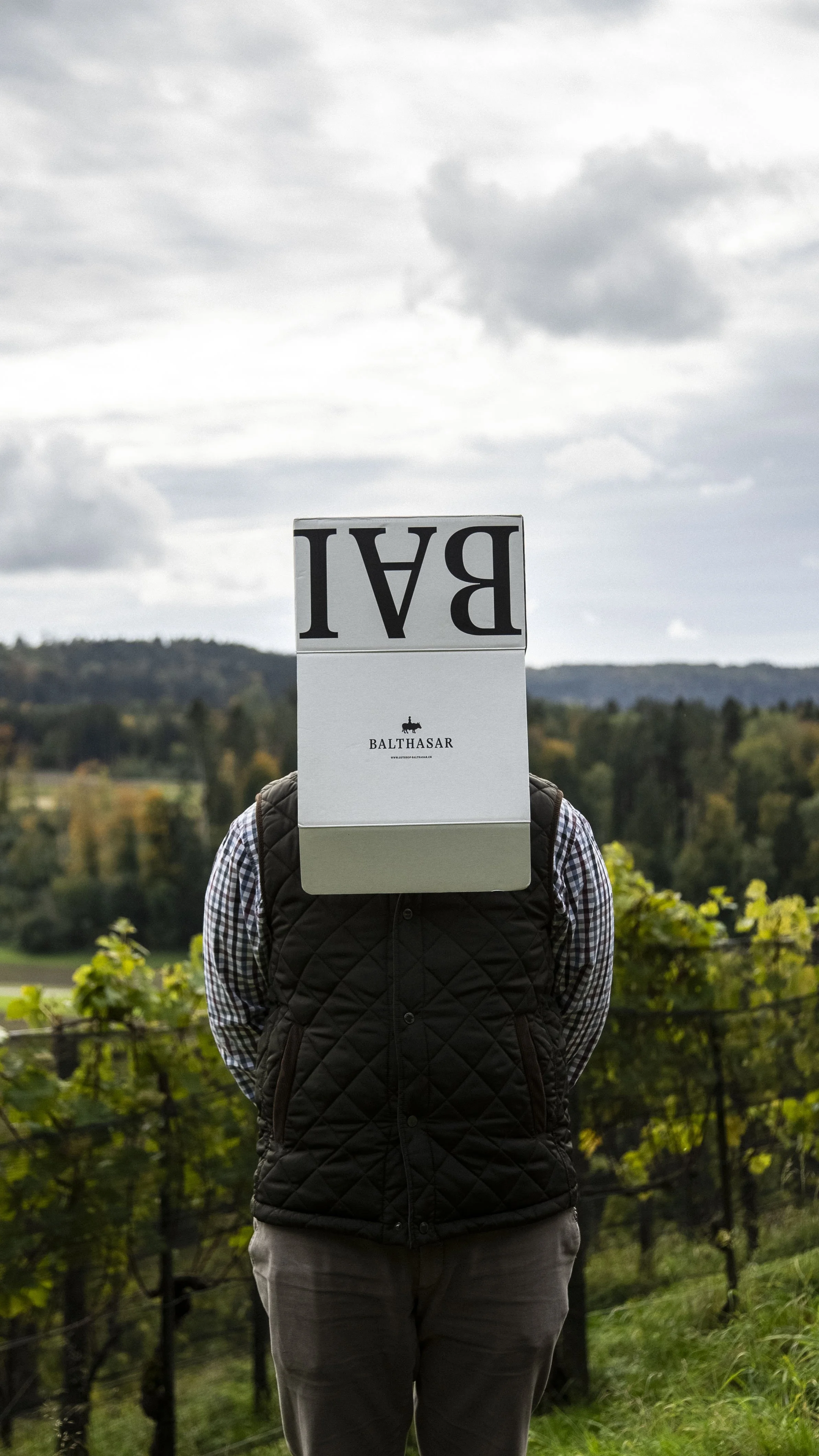 Eine Person trägt eine Paketzustellbox auf dem Kopf, mit der Aufschrift 'BAI' und 'BALTHASAR' auf der Box, im Freien vor einem Weinberg und einer bewölkten Himmel.