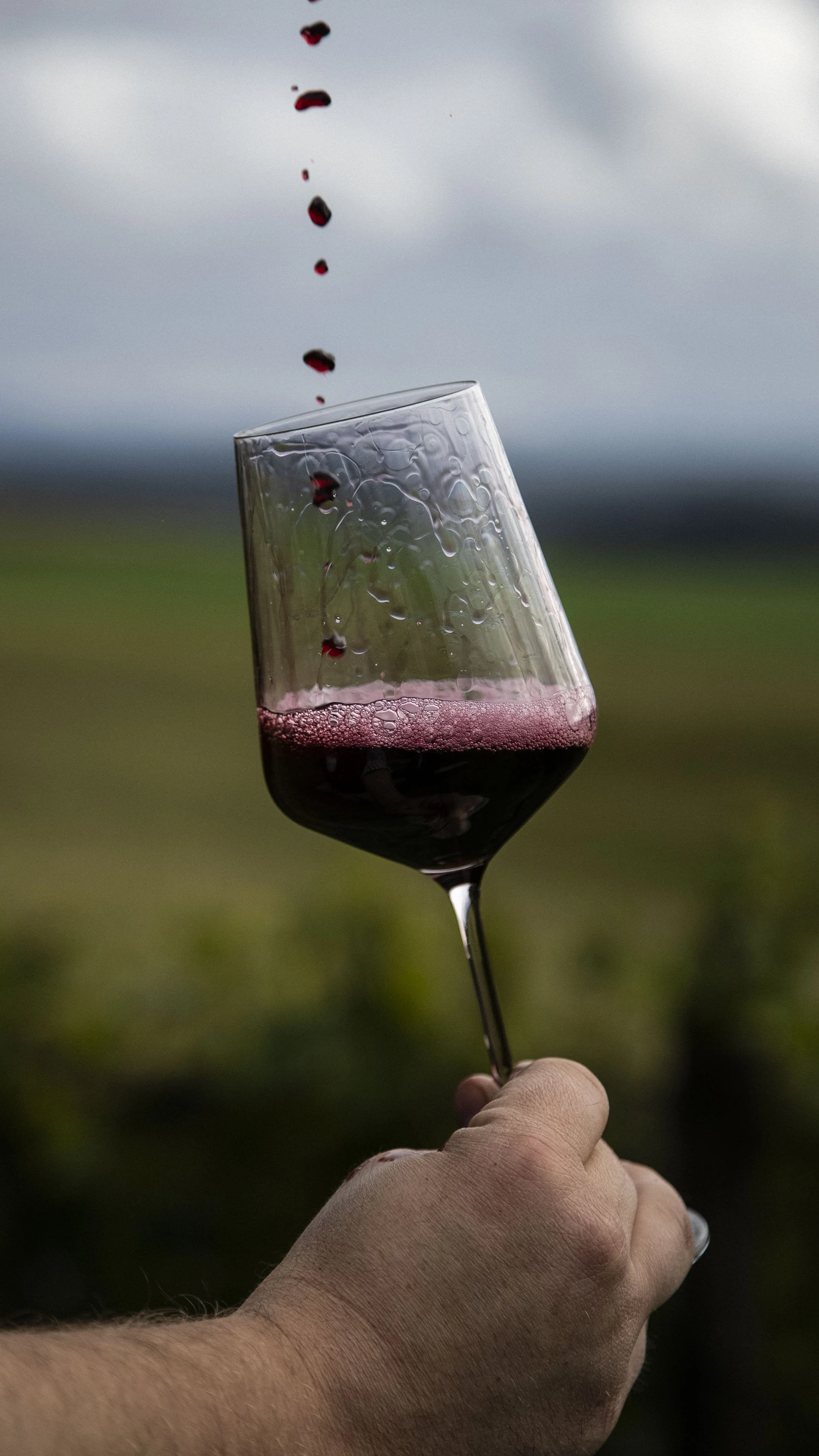Hand hält ein Weinglas mit rotem Wein, während Weintrauben in den Wein fallen.