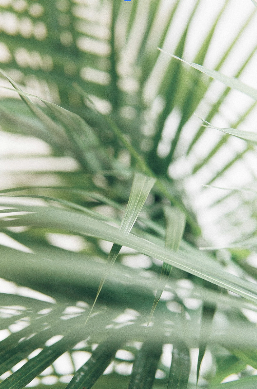 Screenshot 2025-11-24 at 2.20.47 PM.png