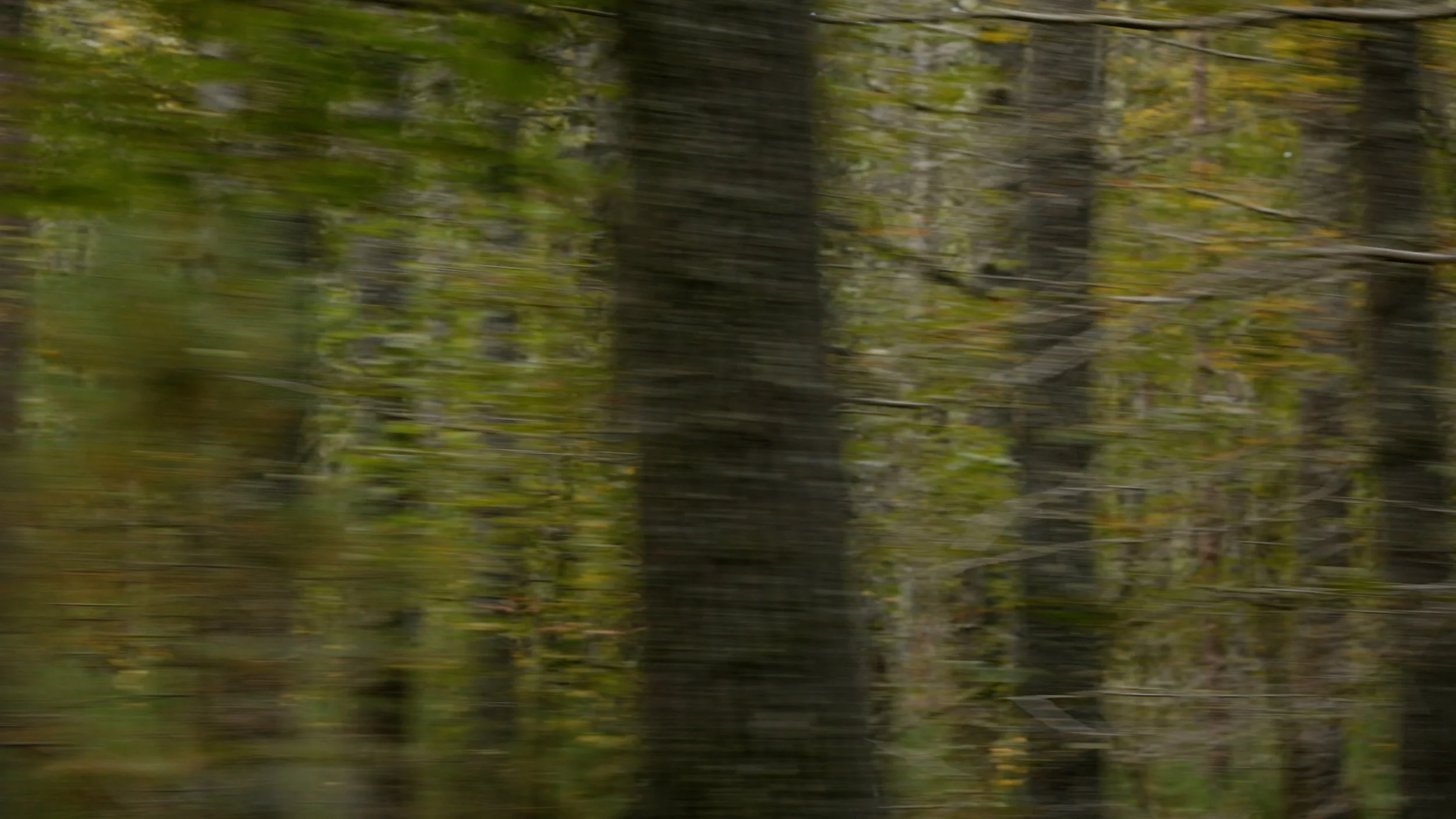 RouteWerks Banner.00_00_00_00.Still001.jpg