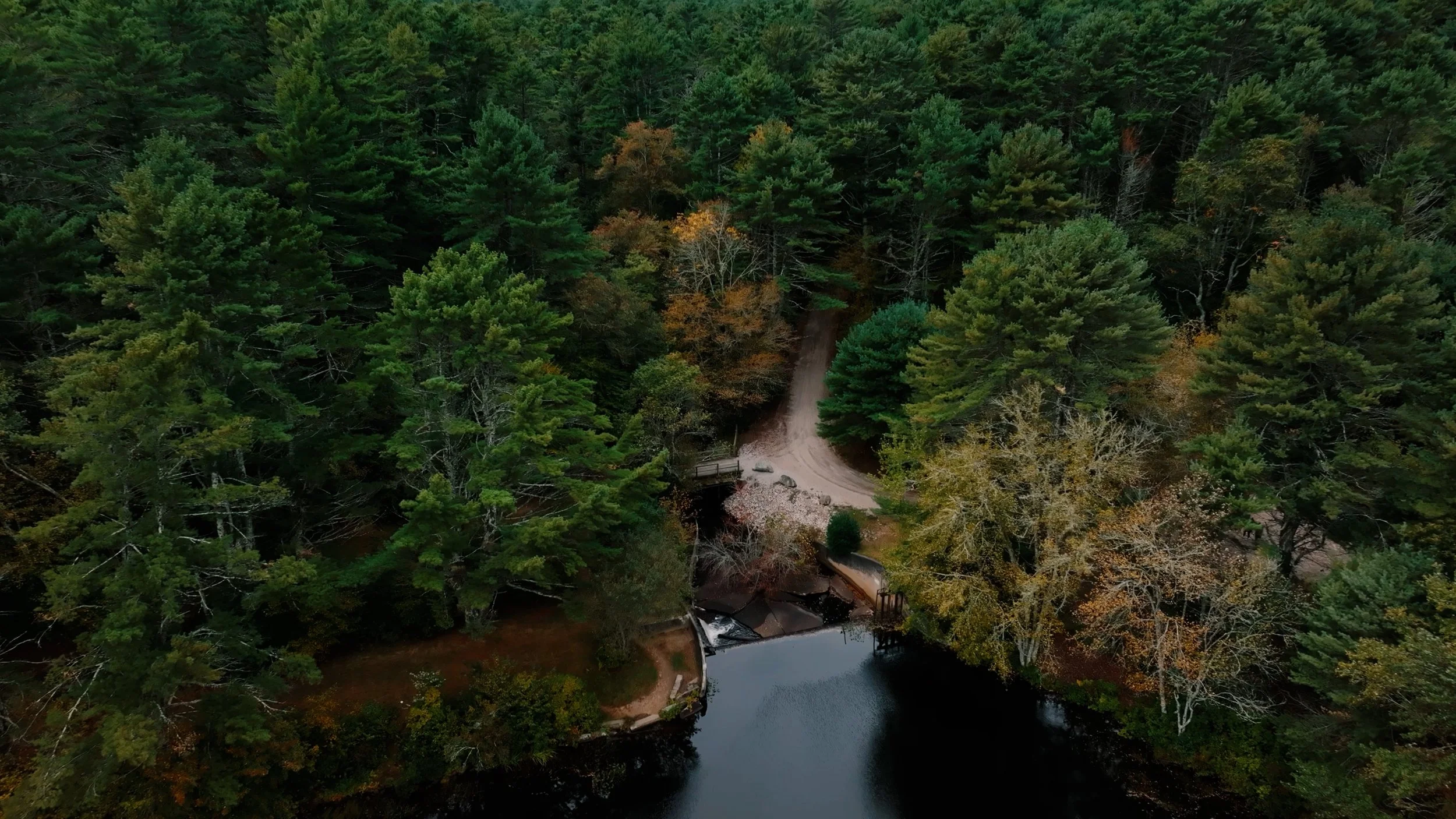 Banner Clips June 25 Webflow.00_00_00_00.Still003.jpg