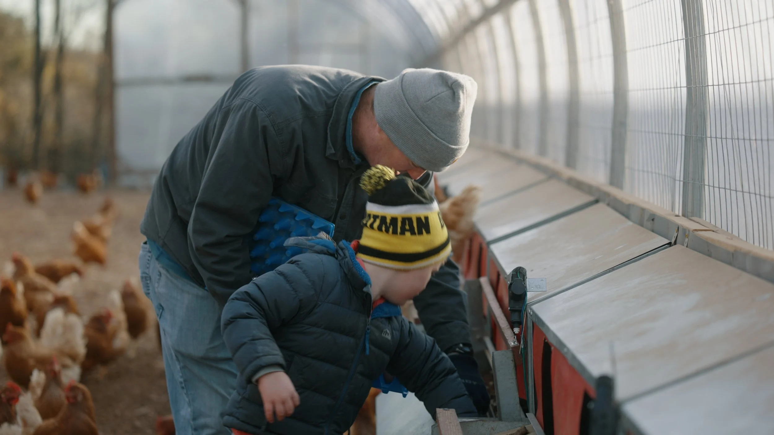 Pats Banner.00_00_00_00.Still002.jpg