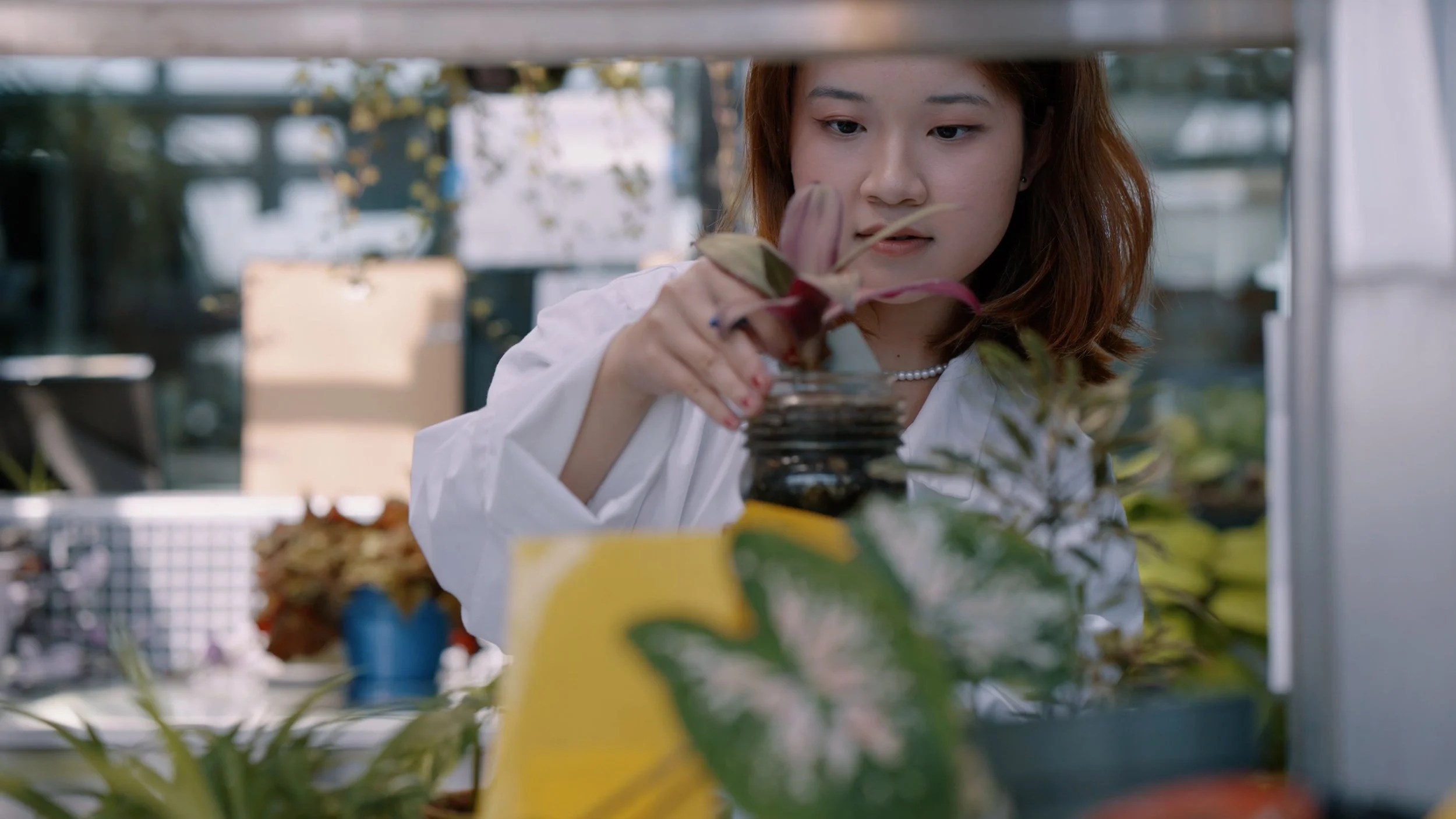  
    Coco
 
 
    Slide description
 