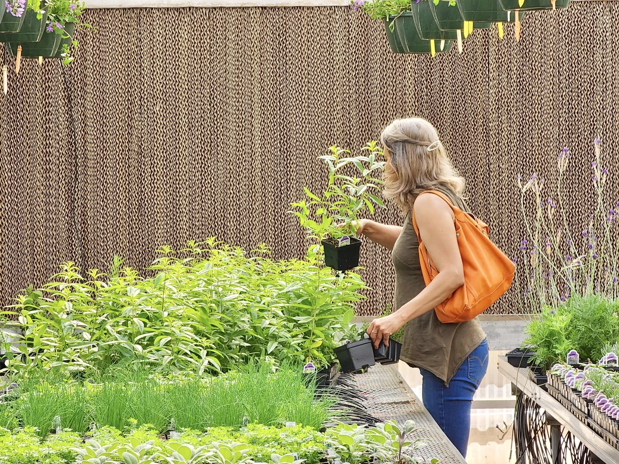 Gardener