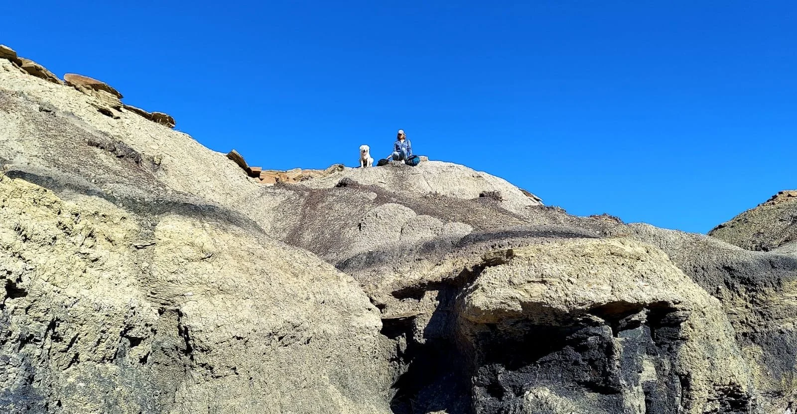 Bisti/De-Na-Zin Wilderness