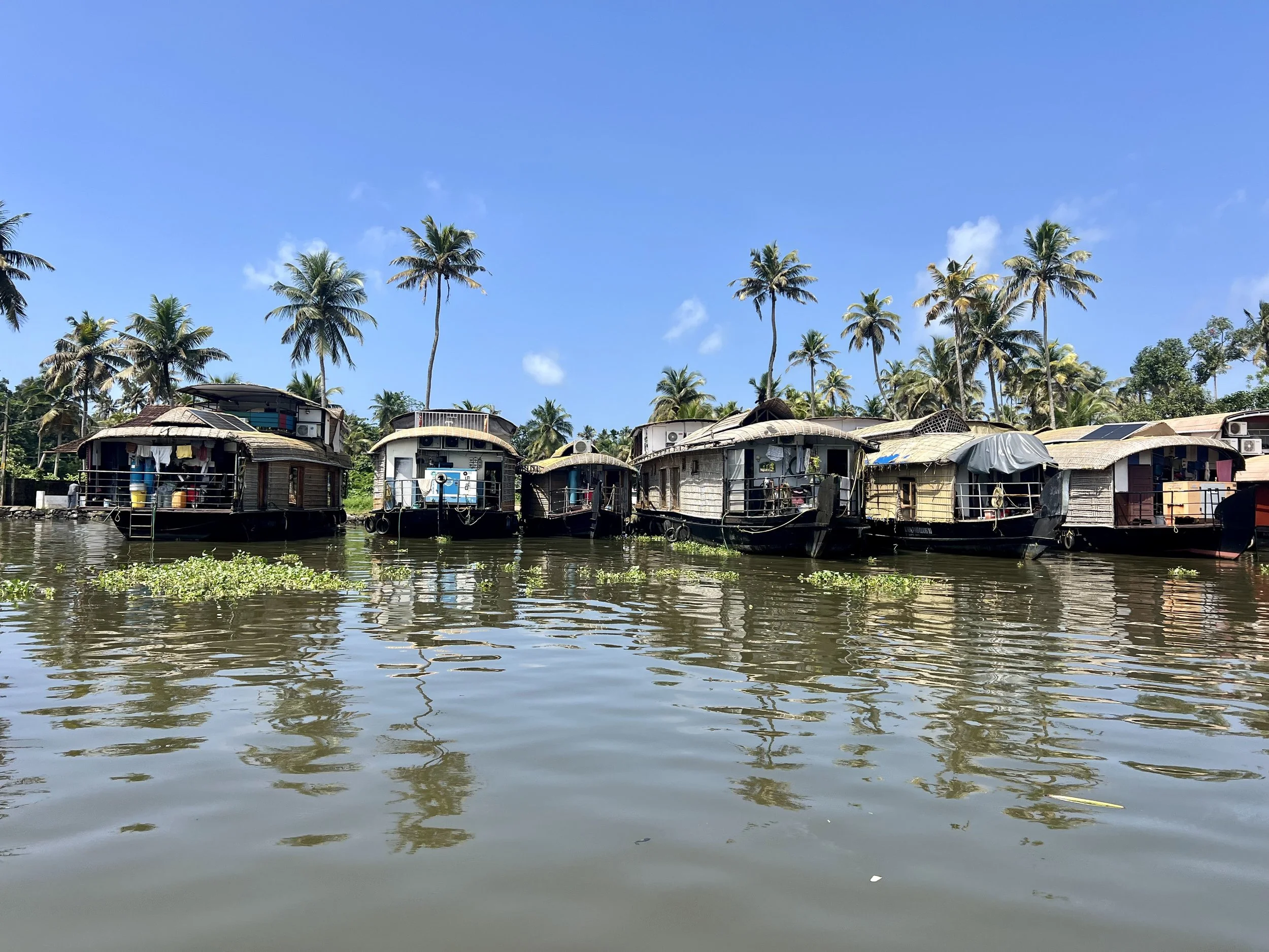 One Day in Alleppey