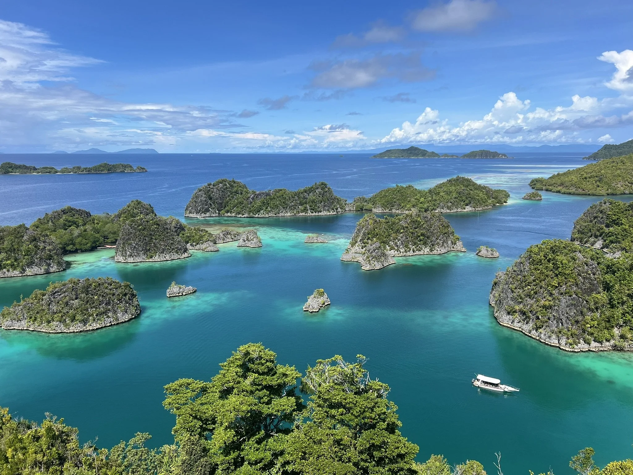 What you Need to Know Before Traveling to Raja Ampat