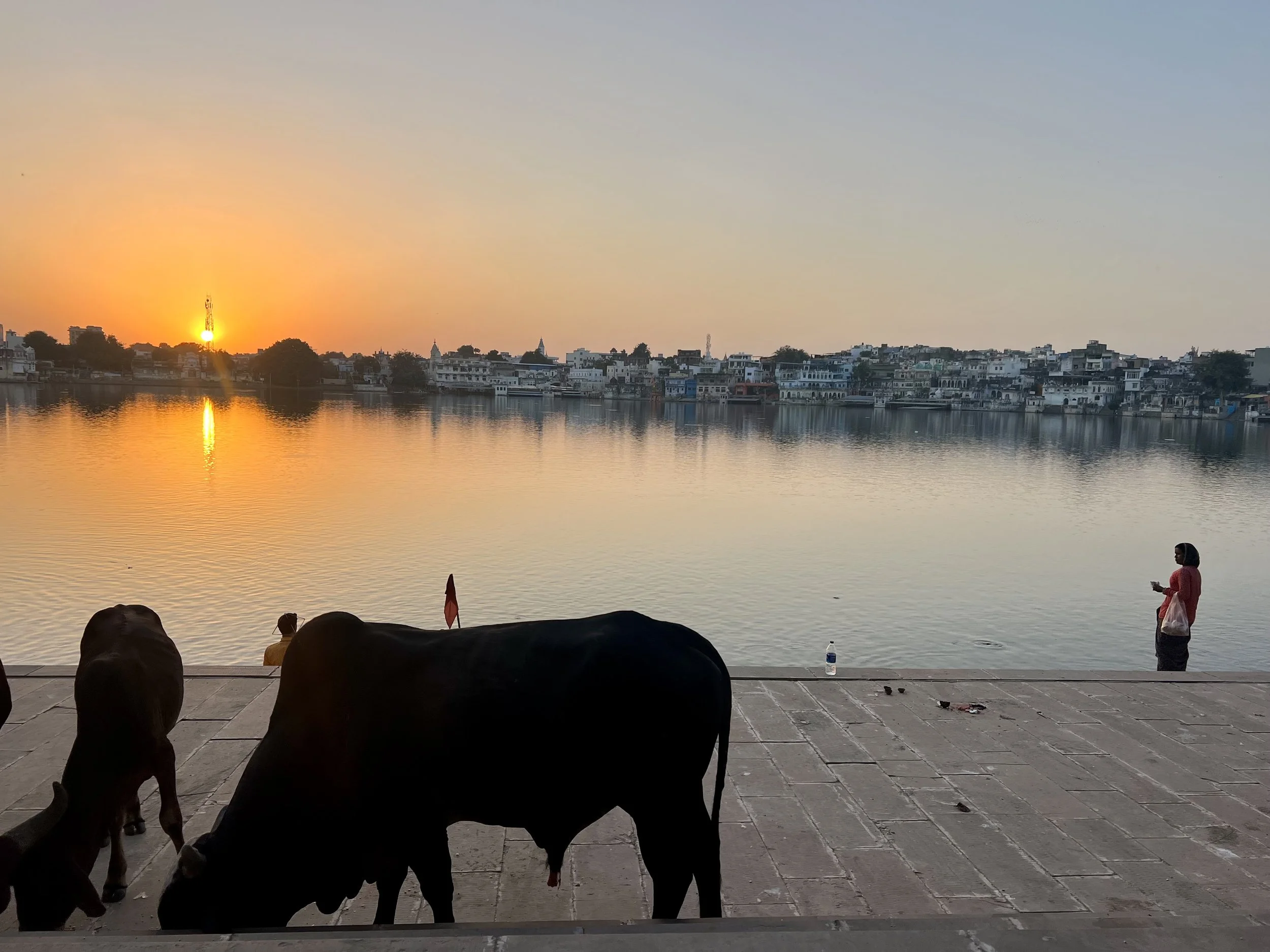 Travel Guide: Pushkar