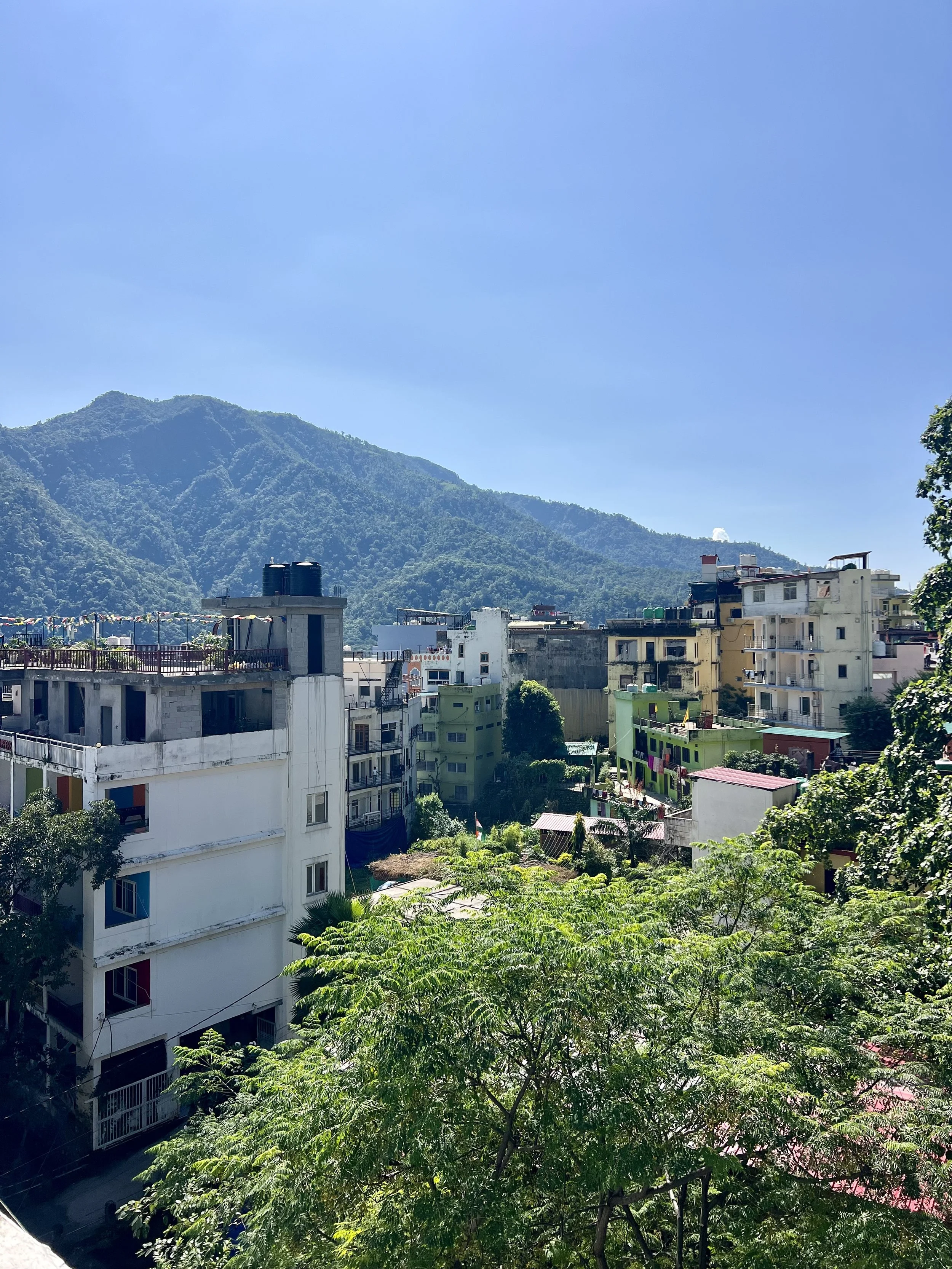 Journey to Yin Yoga Teacher Training