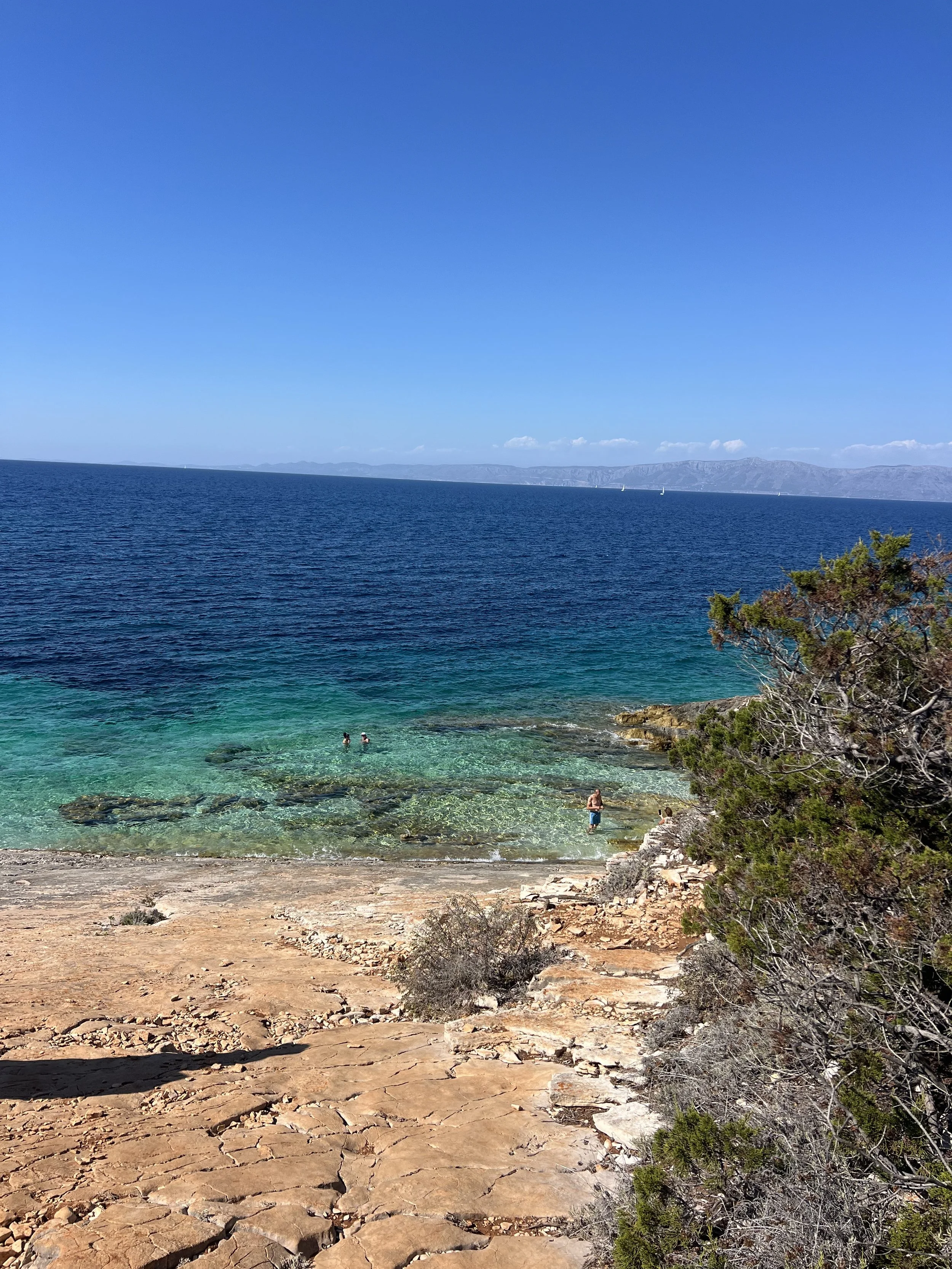IMG_3067.jpeg