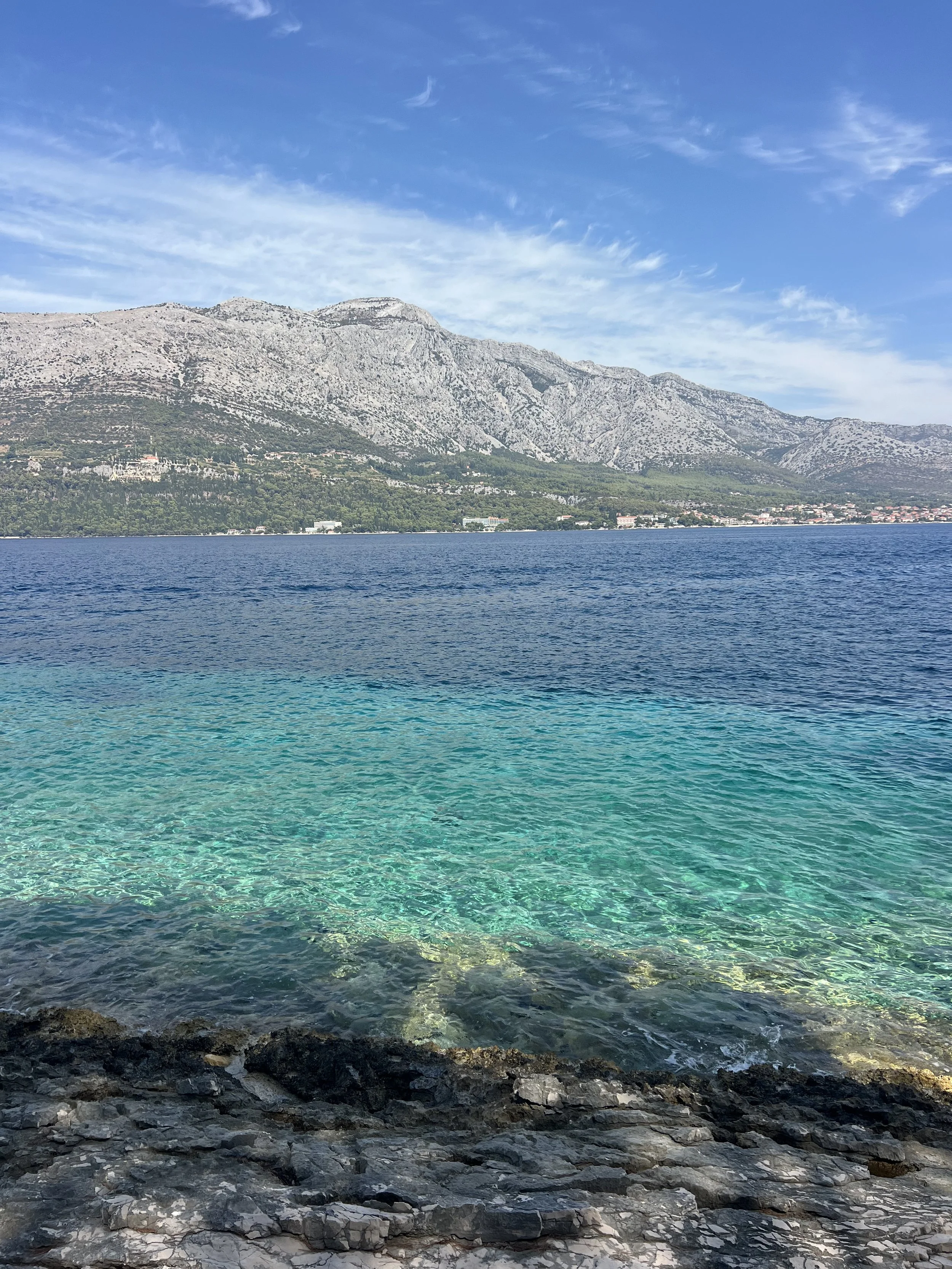 IMG_3178.jpeg