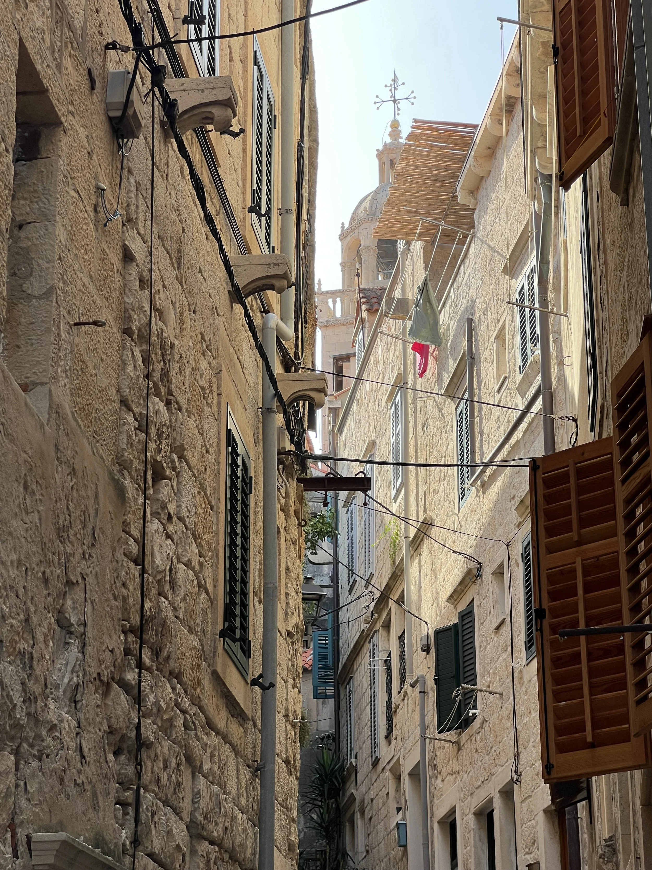 IMG_2991.jpeg