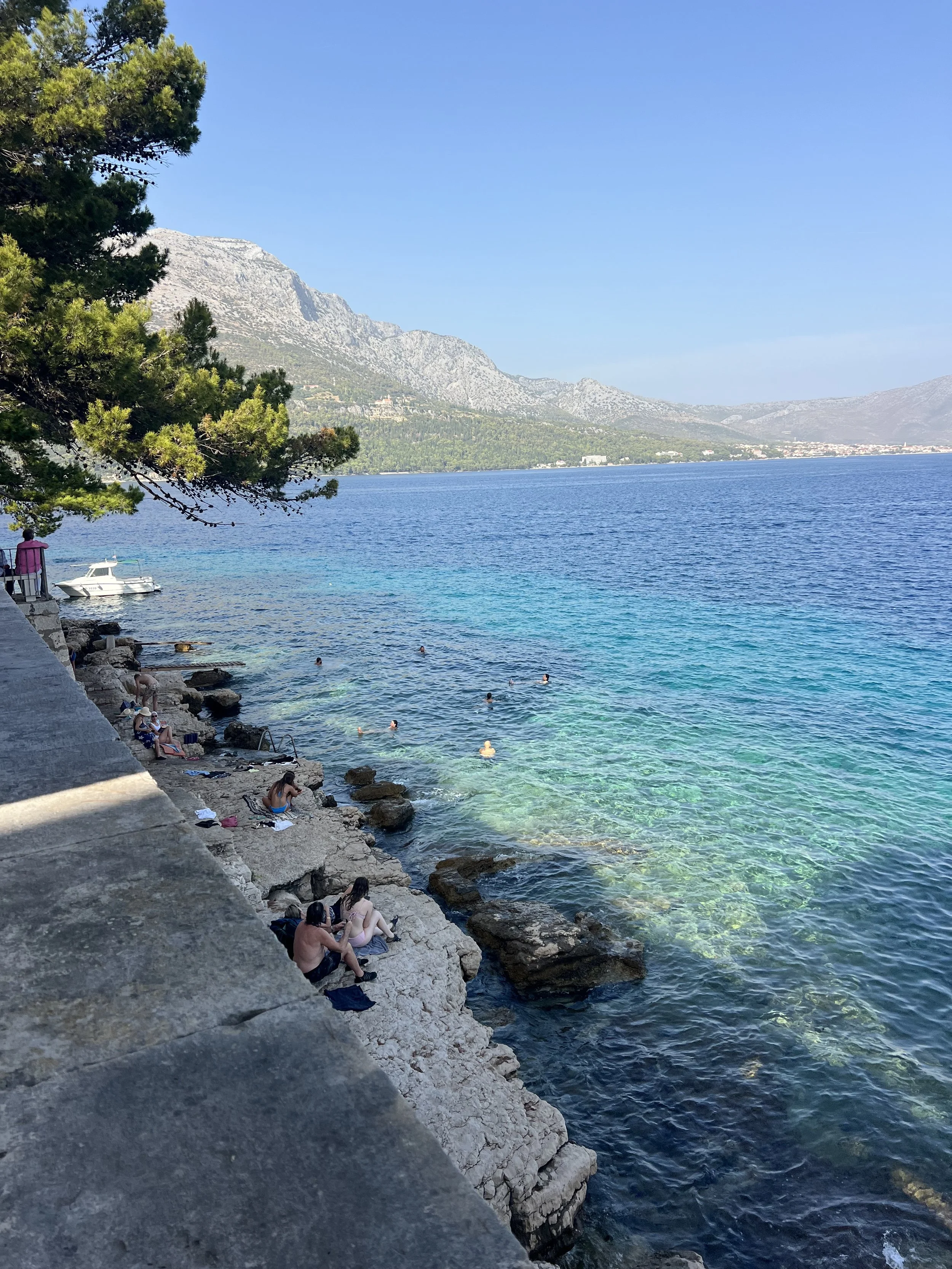 IMG_2986.jpeg