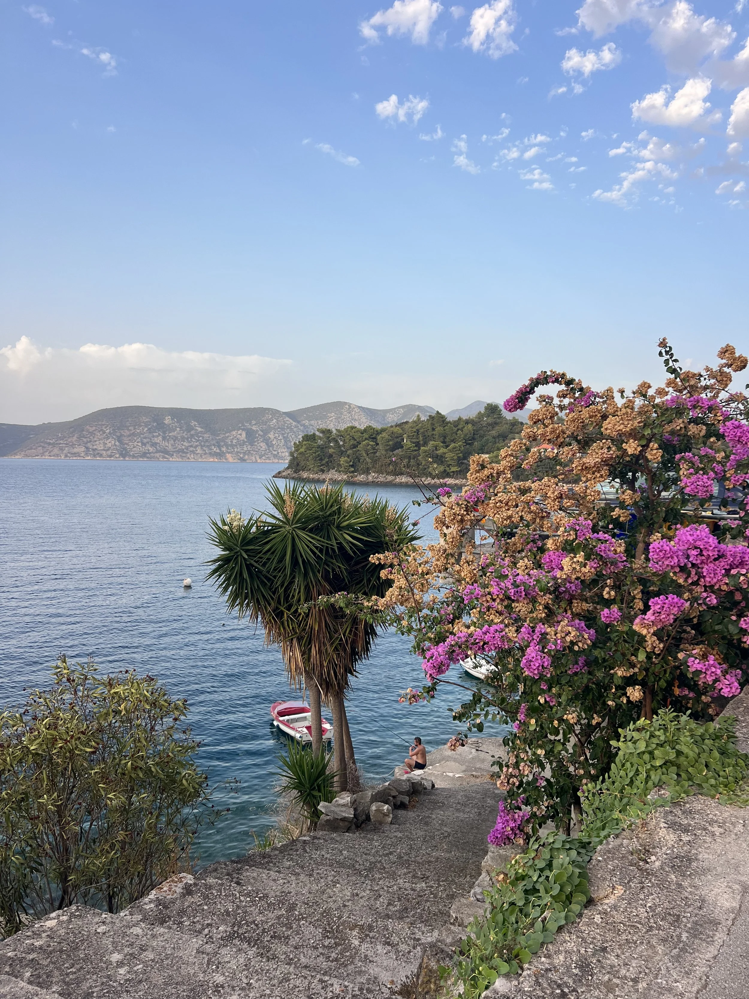 IMG_2916.jpeg