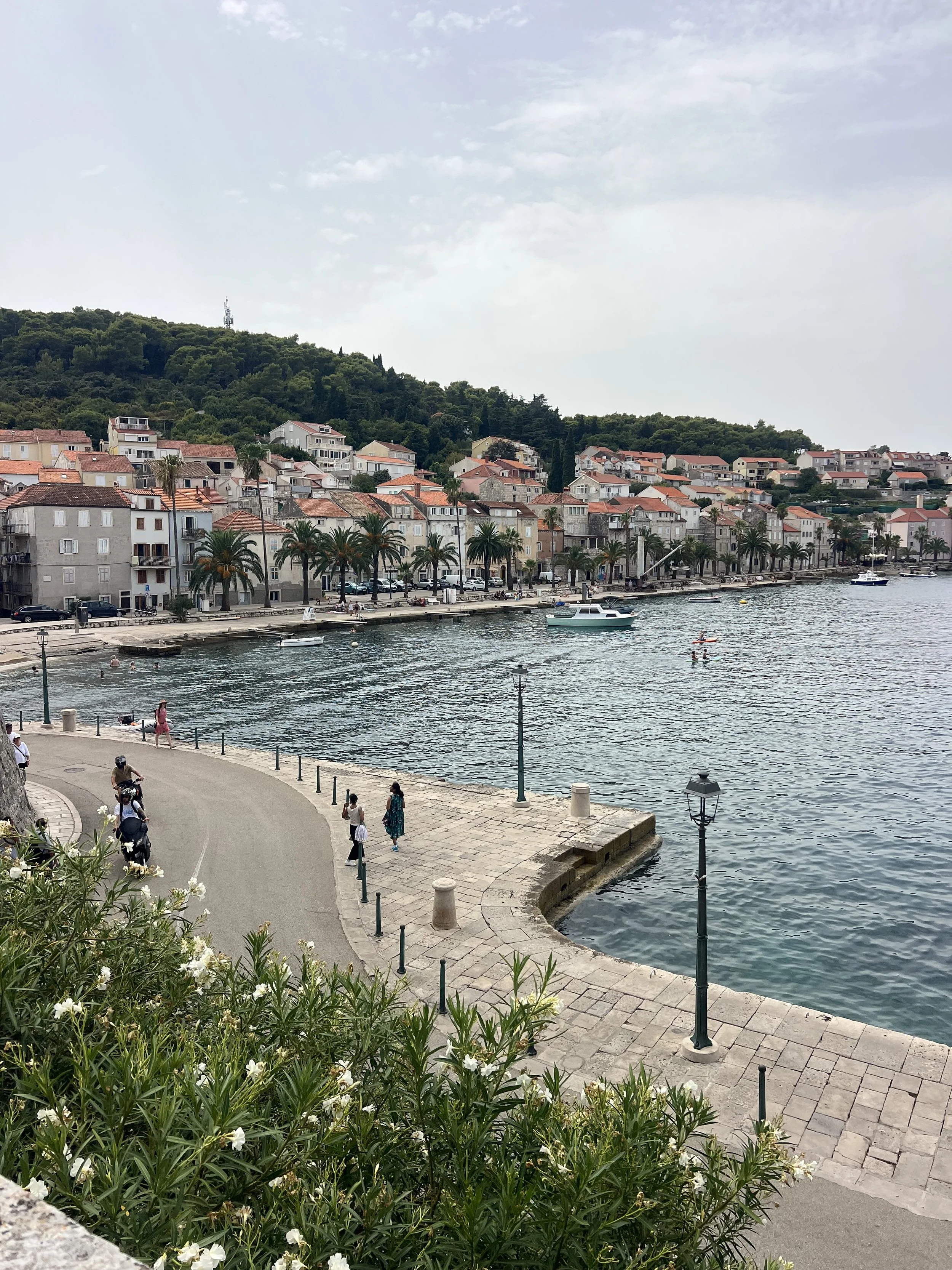 IMG_2802.jpeg
