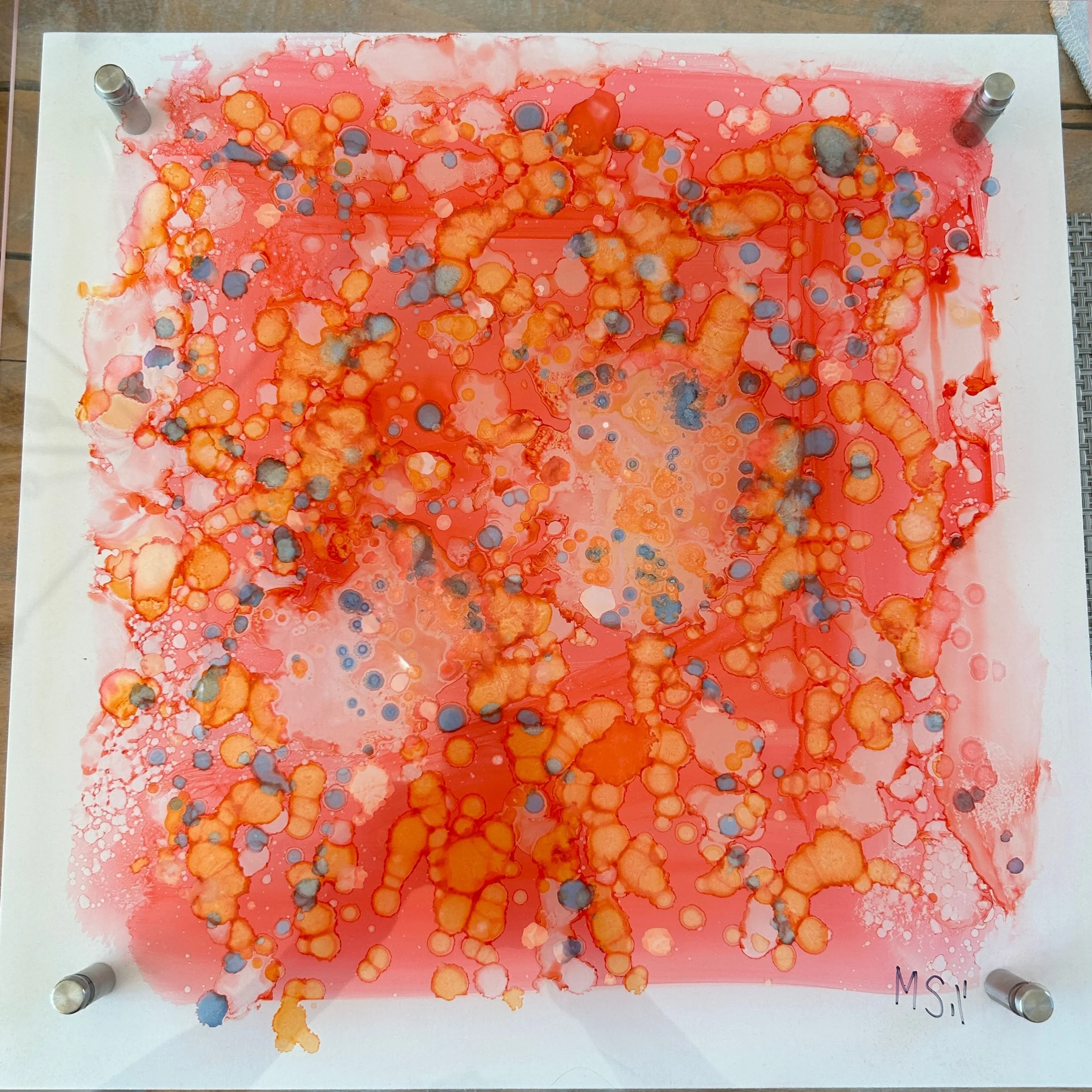 Blooming Mirage- Three Colors 16 X 16 Alcohol Ink on Acrylic