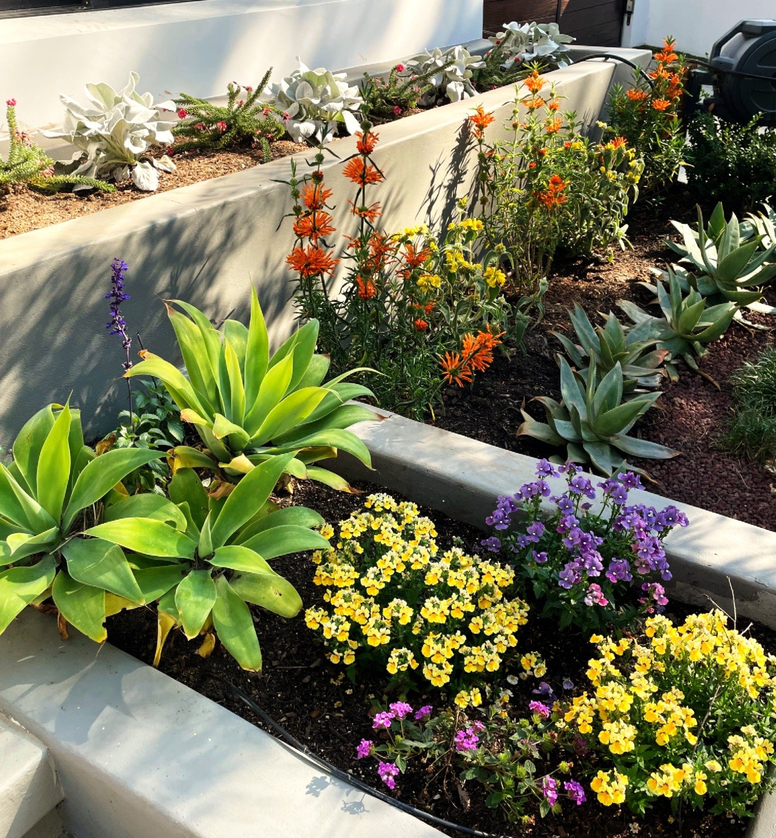 website first page - Gaurav.JPG