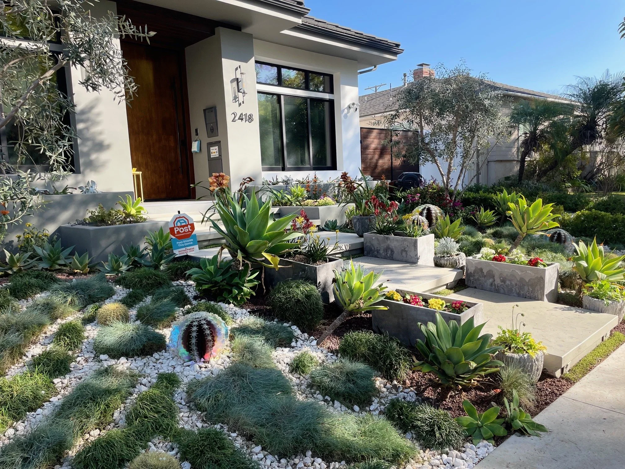 Garden Redesign & Transformation