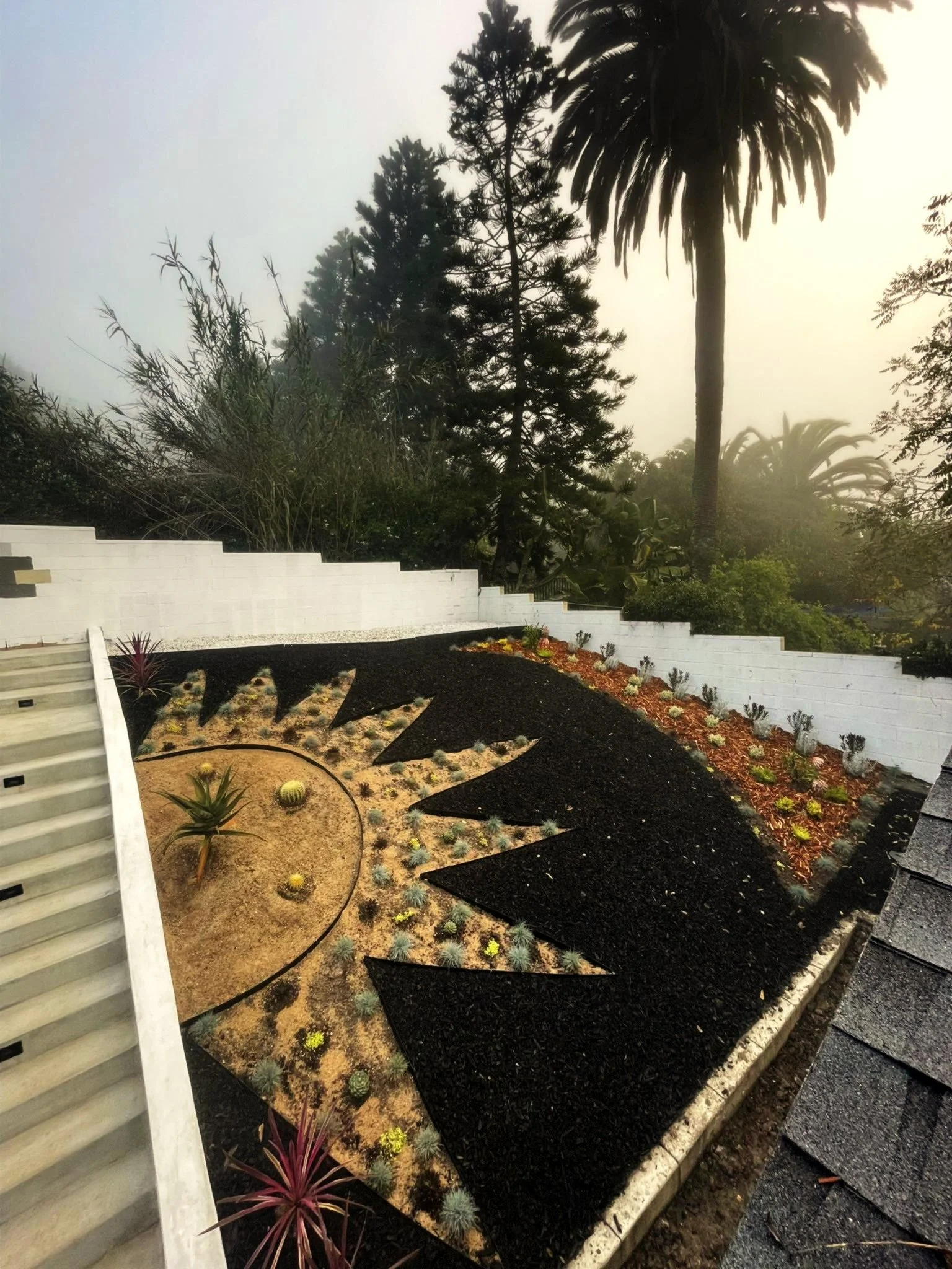 San Pedro hillside sunshine