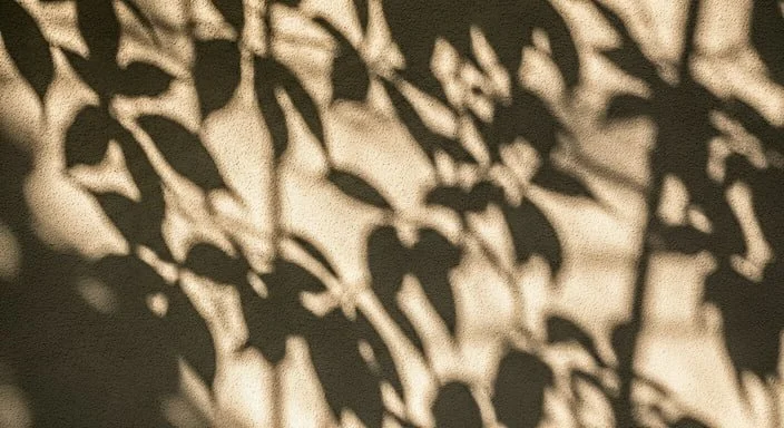 Shadow of leaves on a textured surface with sunlight creating a pattern.