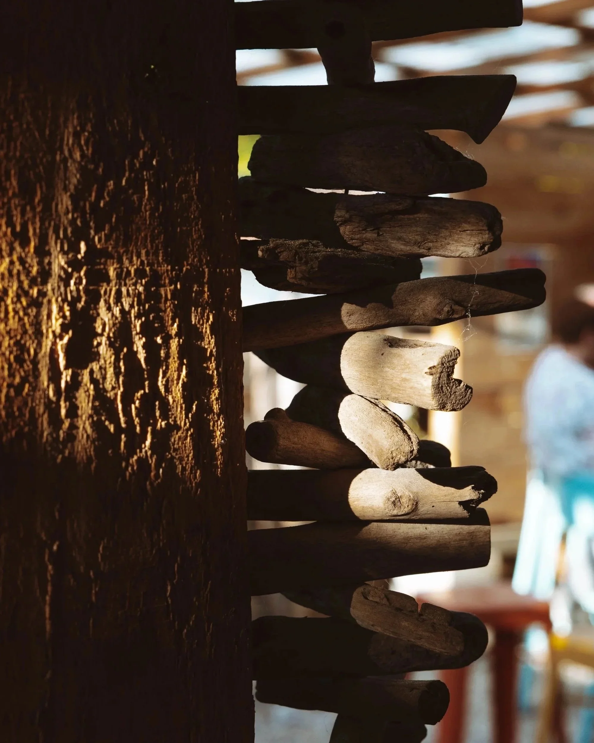 Des morceaux de bois secs empilés verticalement, avec un fond flou et une lumière naturelle.