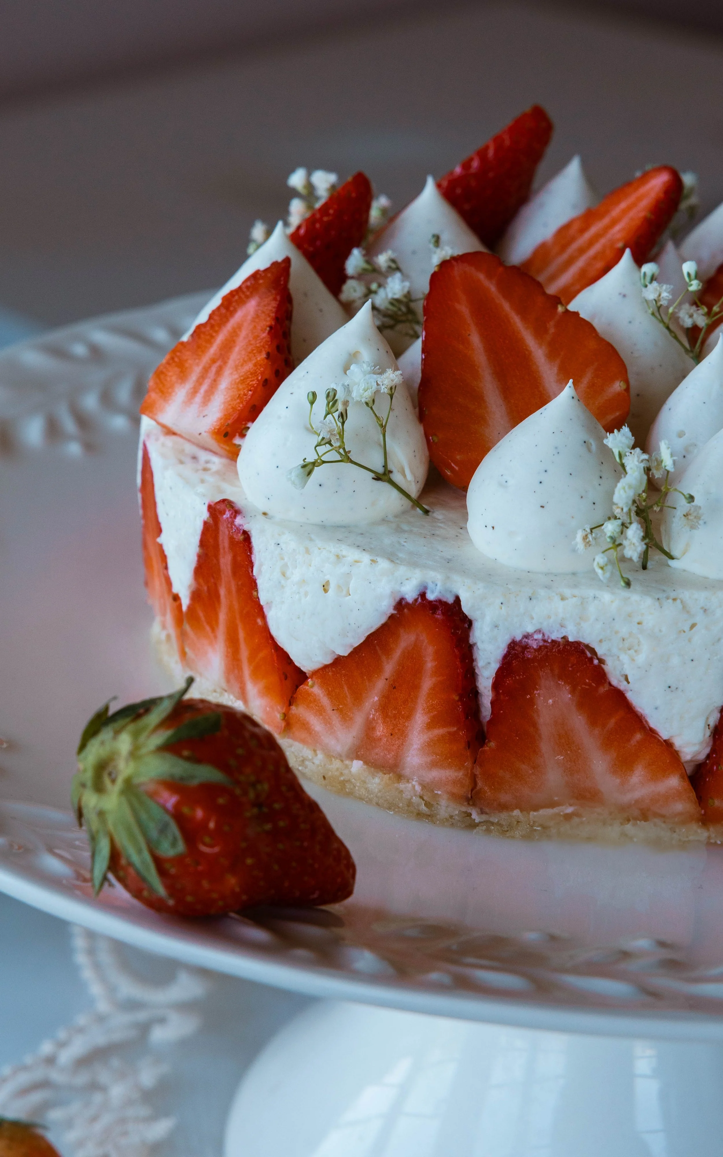 Gâteau à la fraise décoré de fraises fraîches, de petits fleurs blanches et de crème