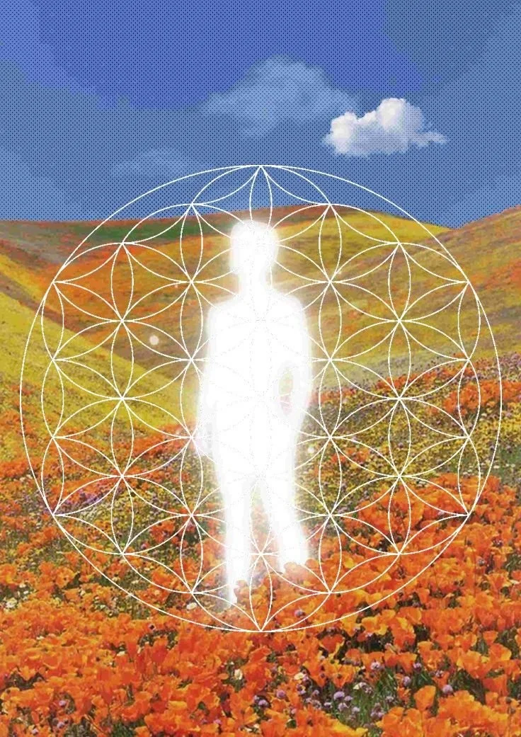 Life After Plant Medicine Retreat: 10 Keys