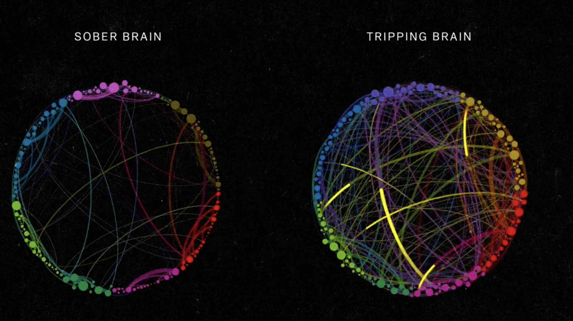 How Psychedelics Rewire Your Brain: The Science Behind Their Surprising Mental Health Benefits