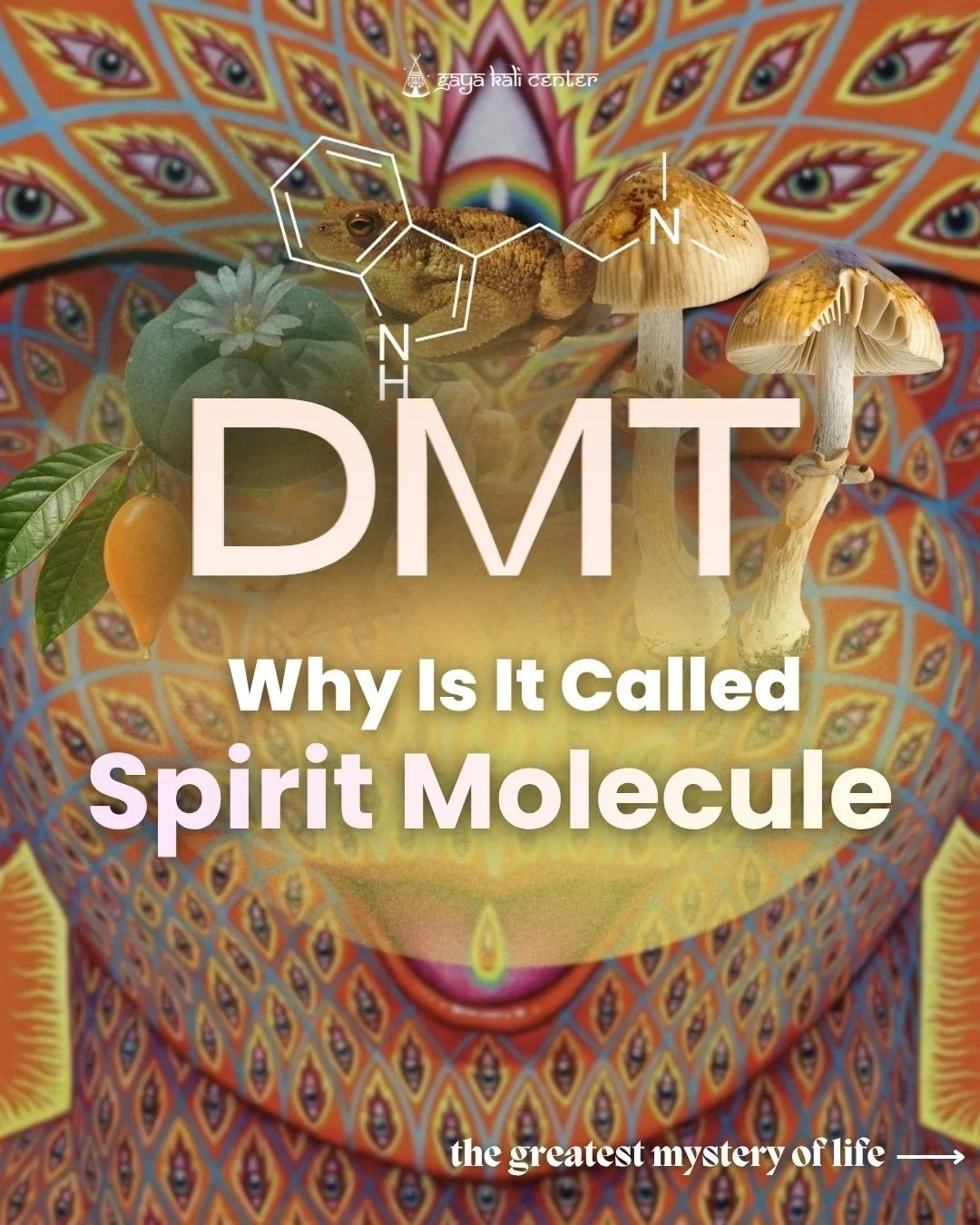 What if our biology is more than anything you can even understand? 🧠✨
There is a specific molecule found in almost every living thing that challenges everything we know about the &laquo;&nbsp;real&nbsp;&raquo; world.

Swipe through to see why scienc