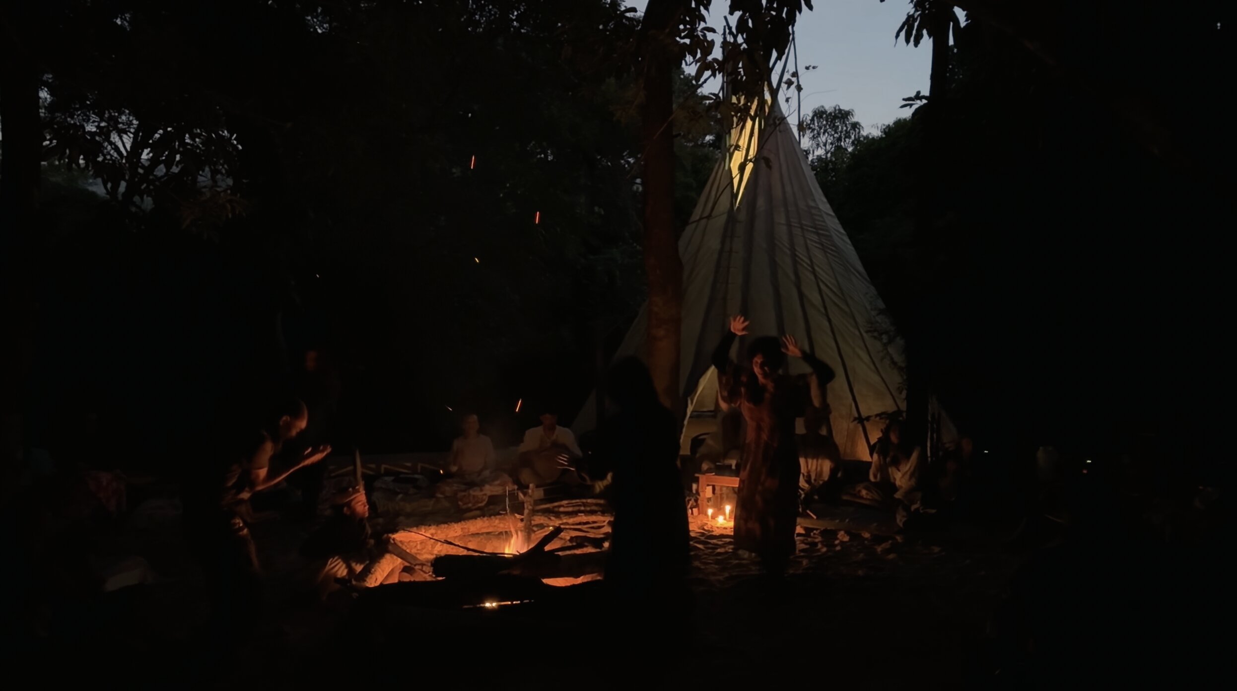 plant medicine retreat brazil