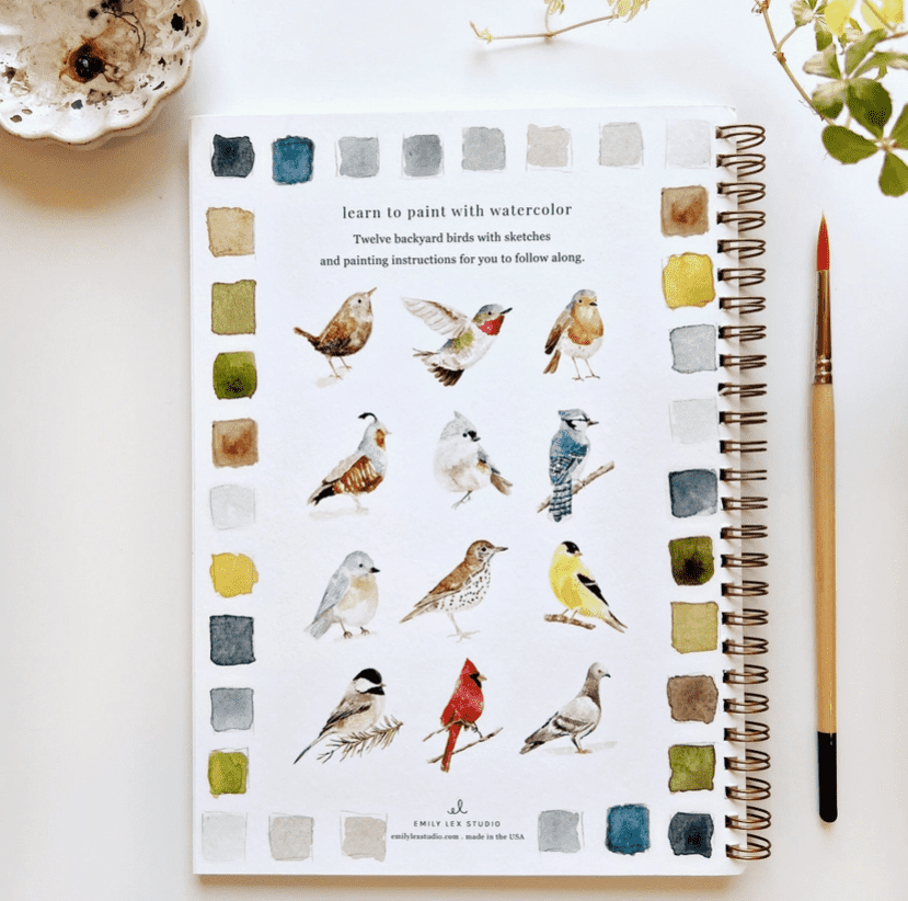 Emily Lex Studio Birds Watercolor Workbook displaying watercolor sketches of twelve backyard birds, next to a paintbrush.