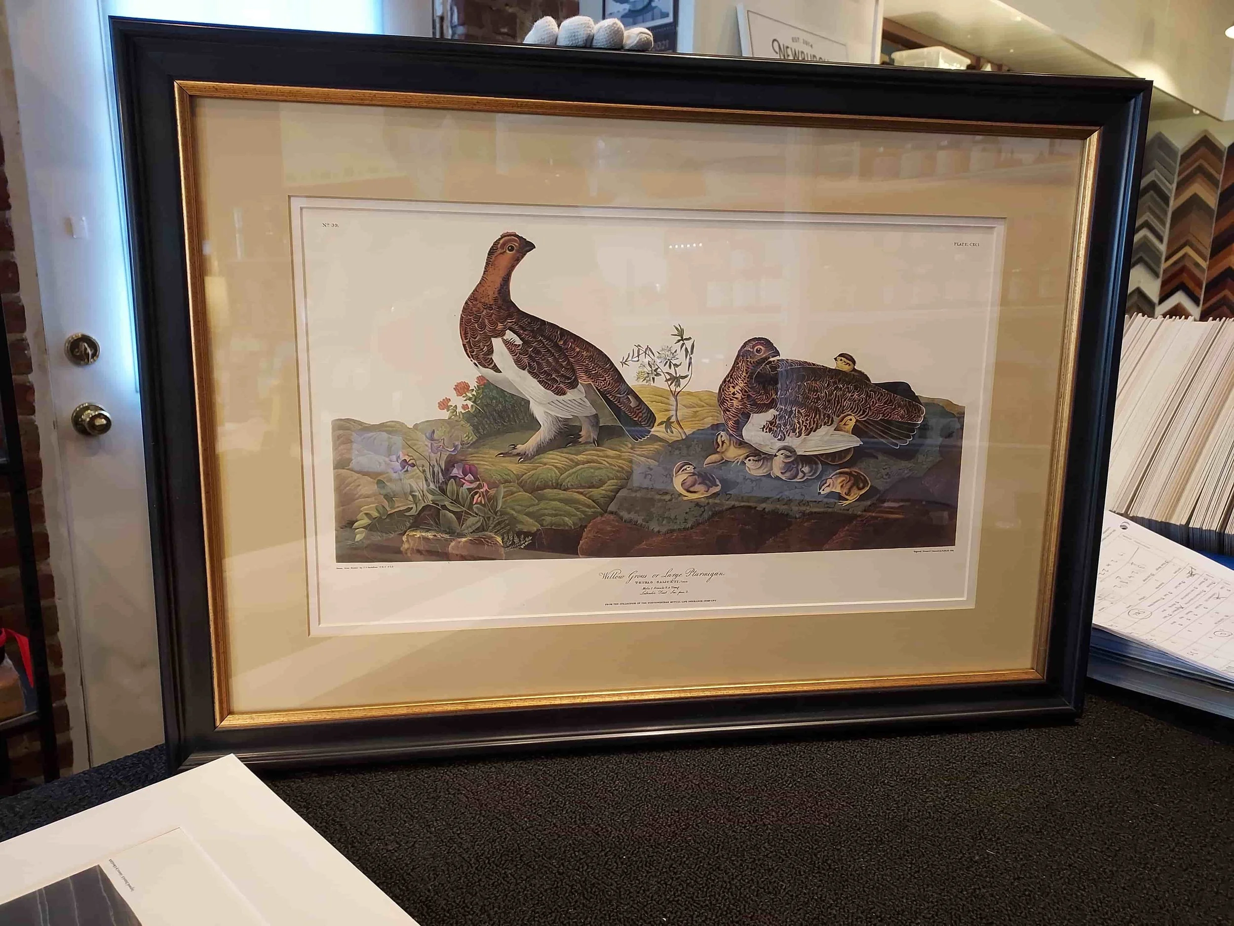 Previous Framing Project-Picture.jpg