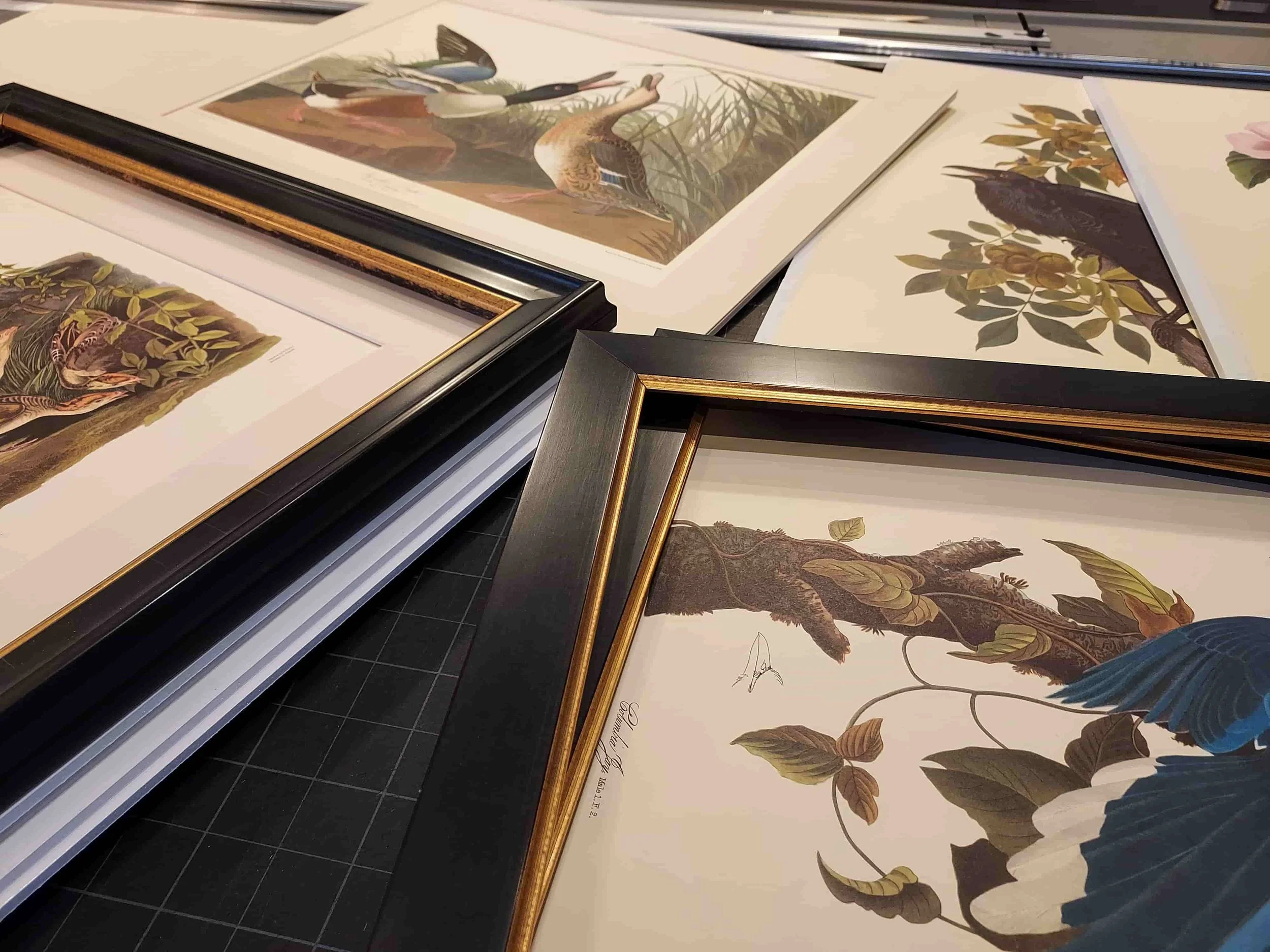 Previous Framing Project-Showcase.jpg