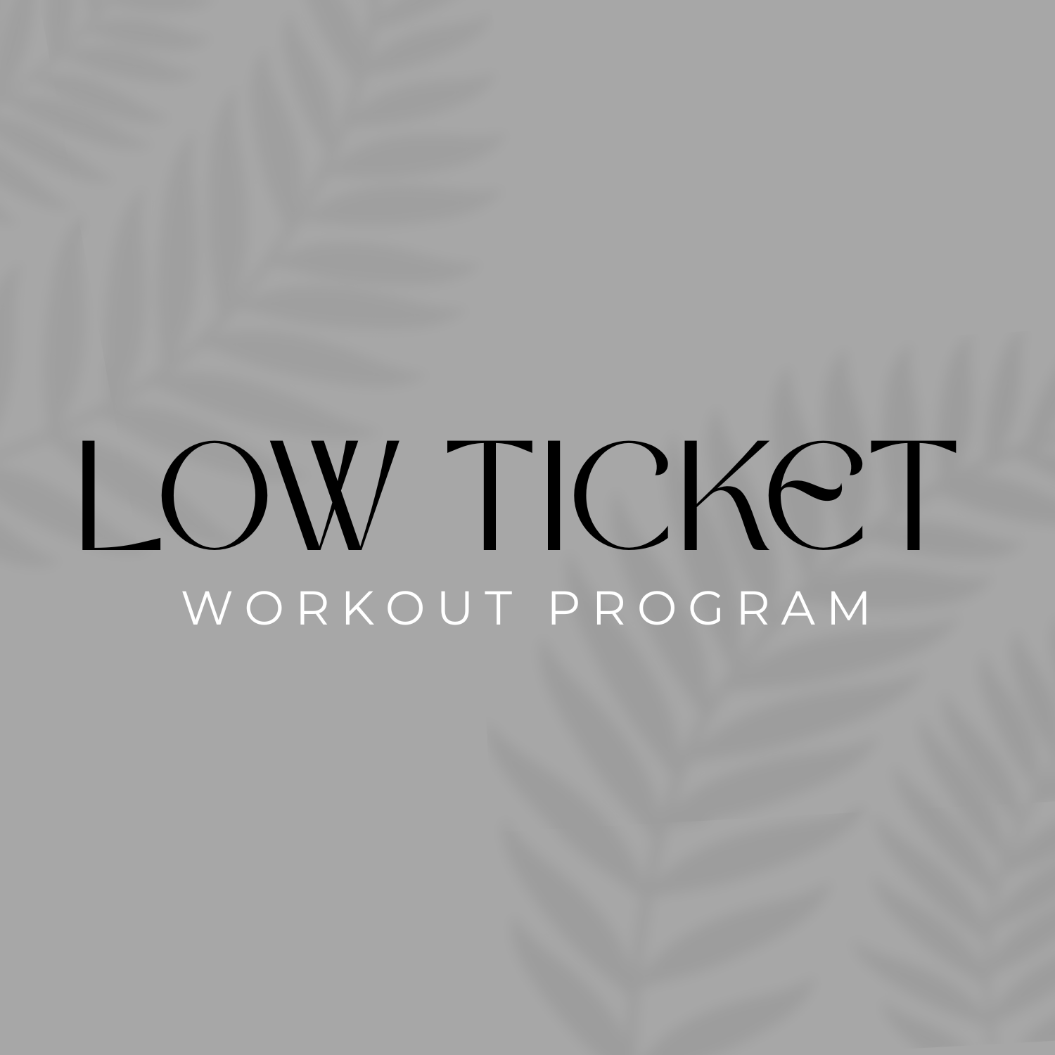 6 Month Workout Program (Low Ticket)