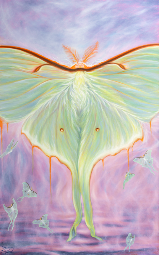 Luna Moth with smaller Luna Moths in soft pink background