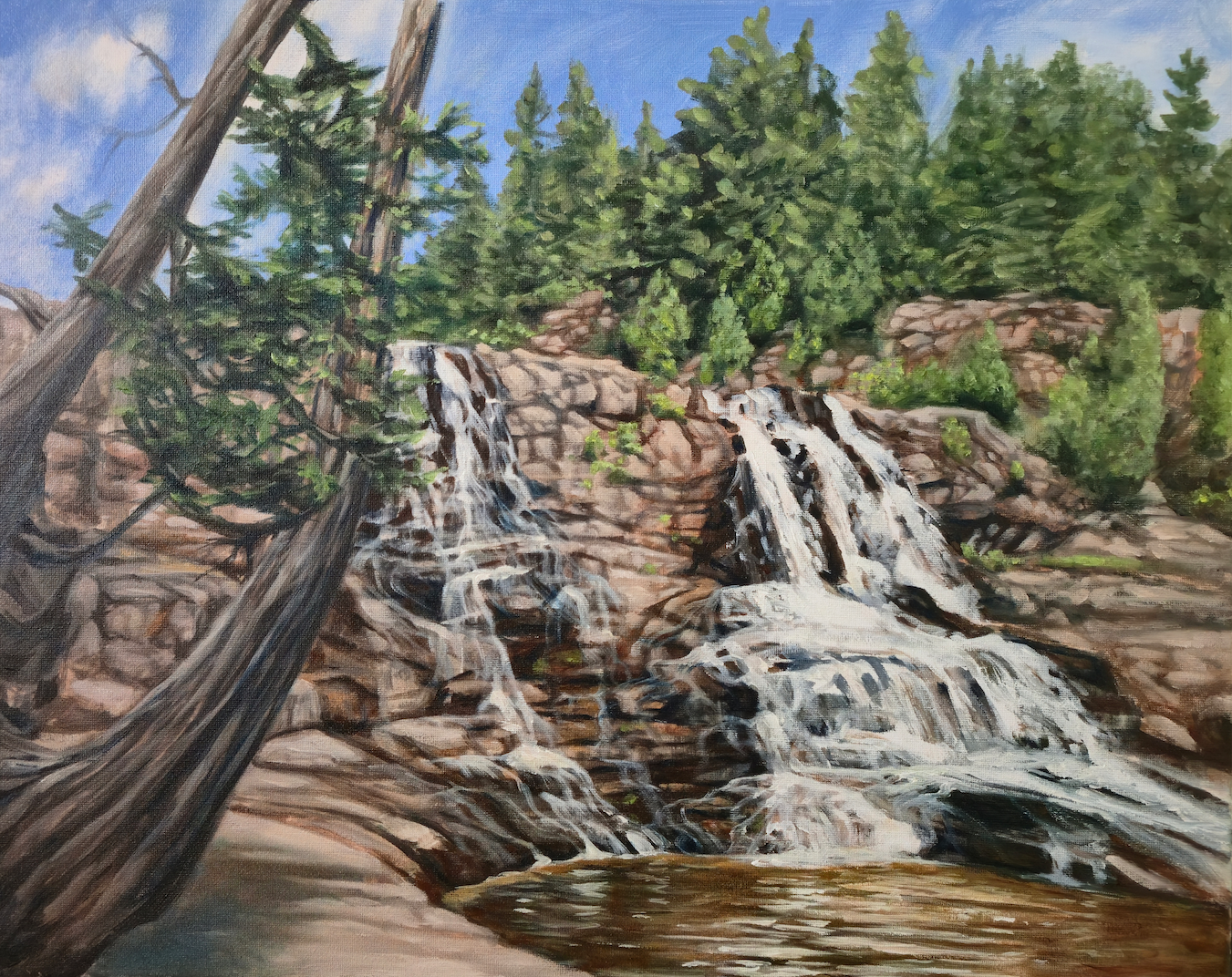 'Gooseberry Lower Falls' - SOLD - Painting of Gooseberry in the summer of 2025.