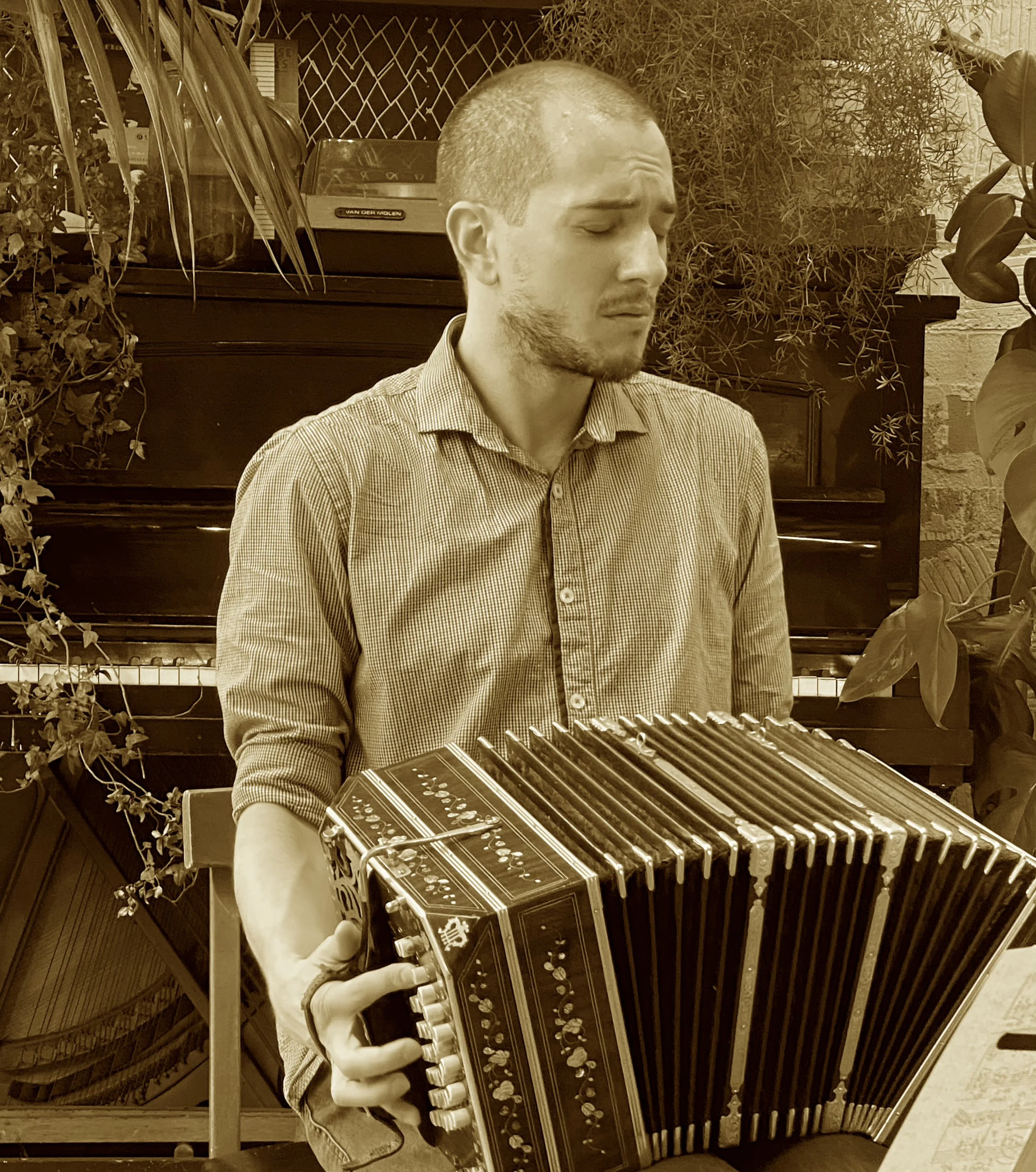 Guillermo Willis man playing Tango in a bandoneon, sitting in front of a piano, surrounded by plants, with a concentrated expression.