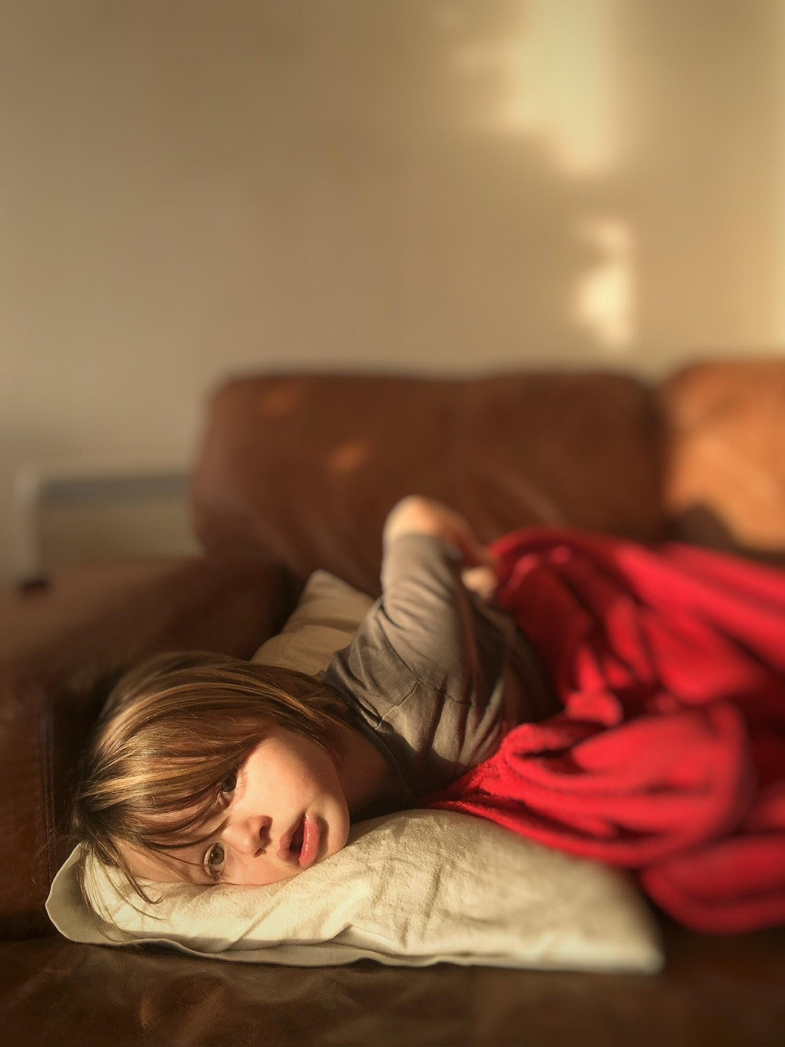 22B0E7BF-F098-4ED1-B321-095AEC1D6DA1_1_102_o.jpeg